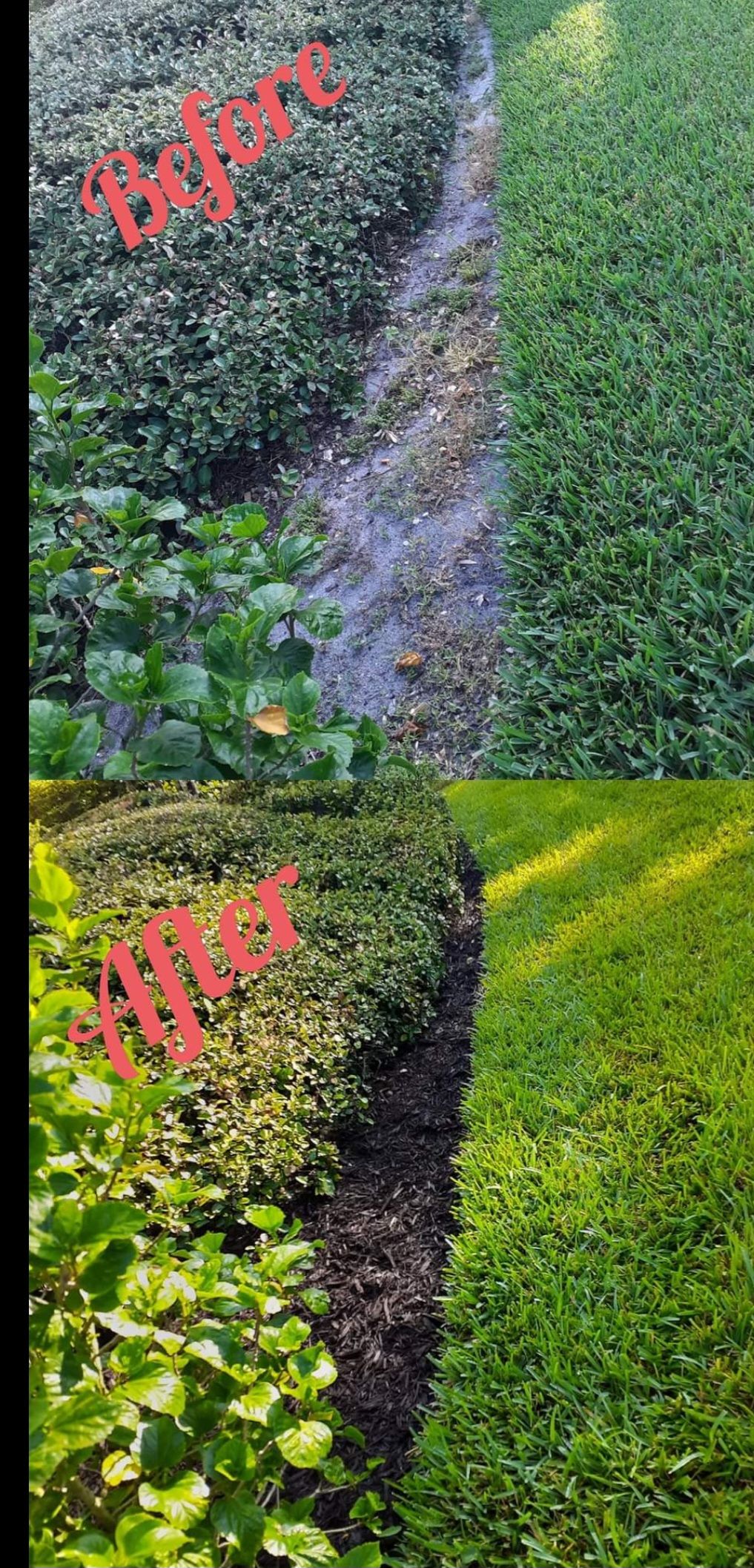  for Advanced Landscaping Solutions LLC in Fort Myers, FL