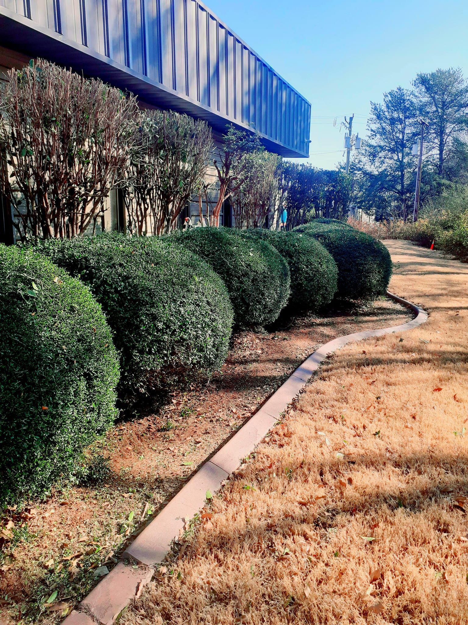  for Down To Earth Tree and Landscaping in Greenville, SC