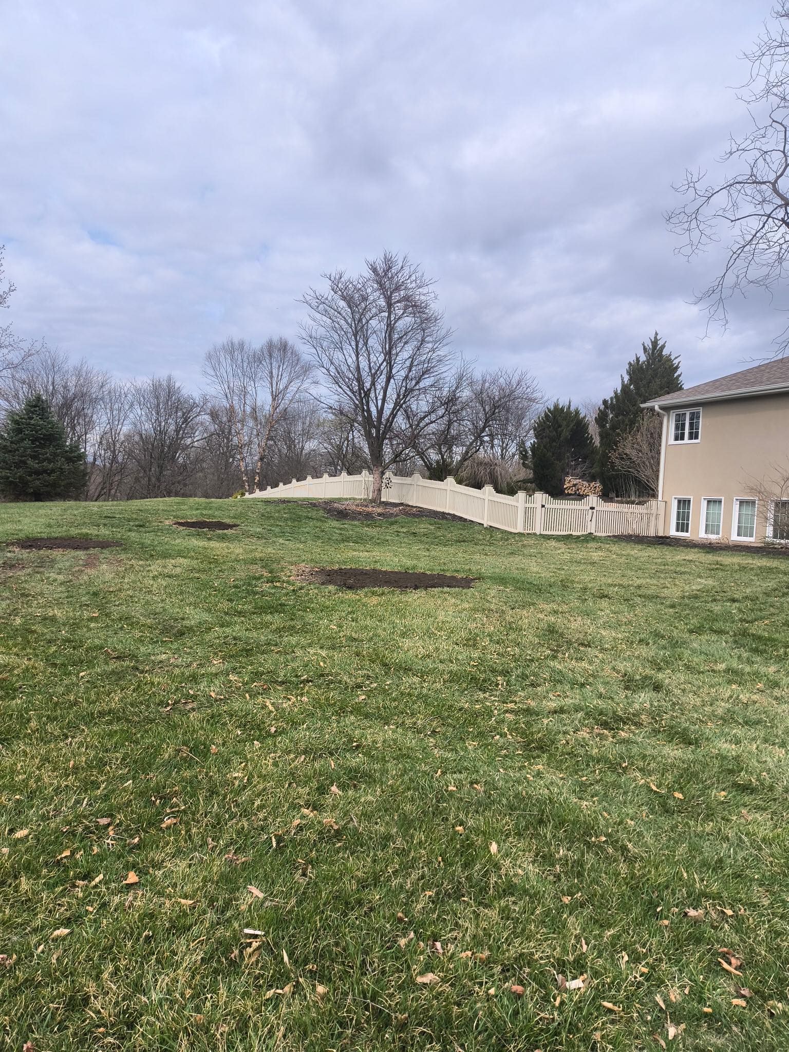 Tree Removal for Cross Family Tree Service in Kearney, MO