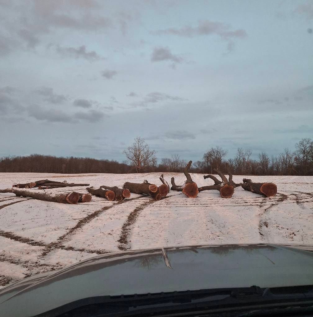  for God's Country Timber Management in Hillsdale, MI