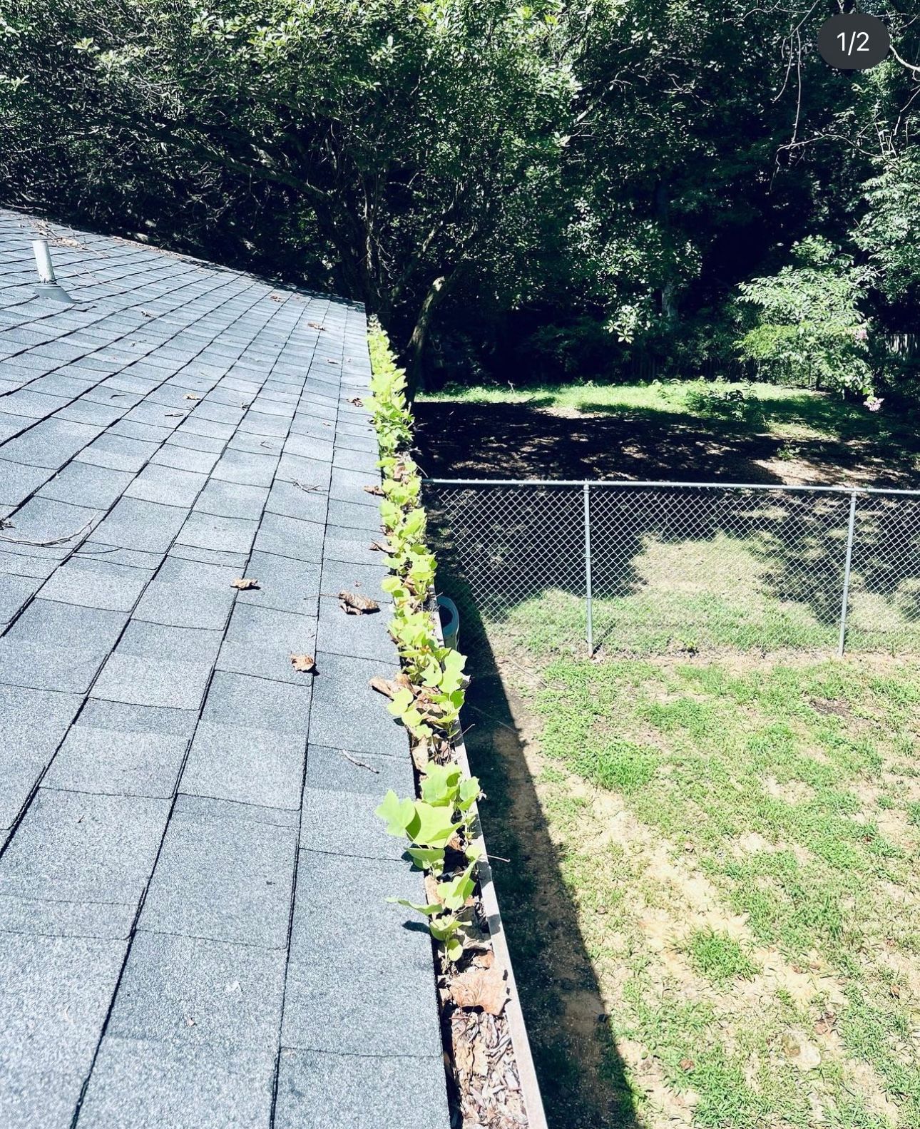  for Nate's Property Maintenance LLC  in Lusby, MD