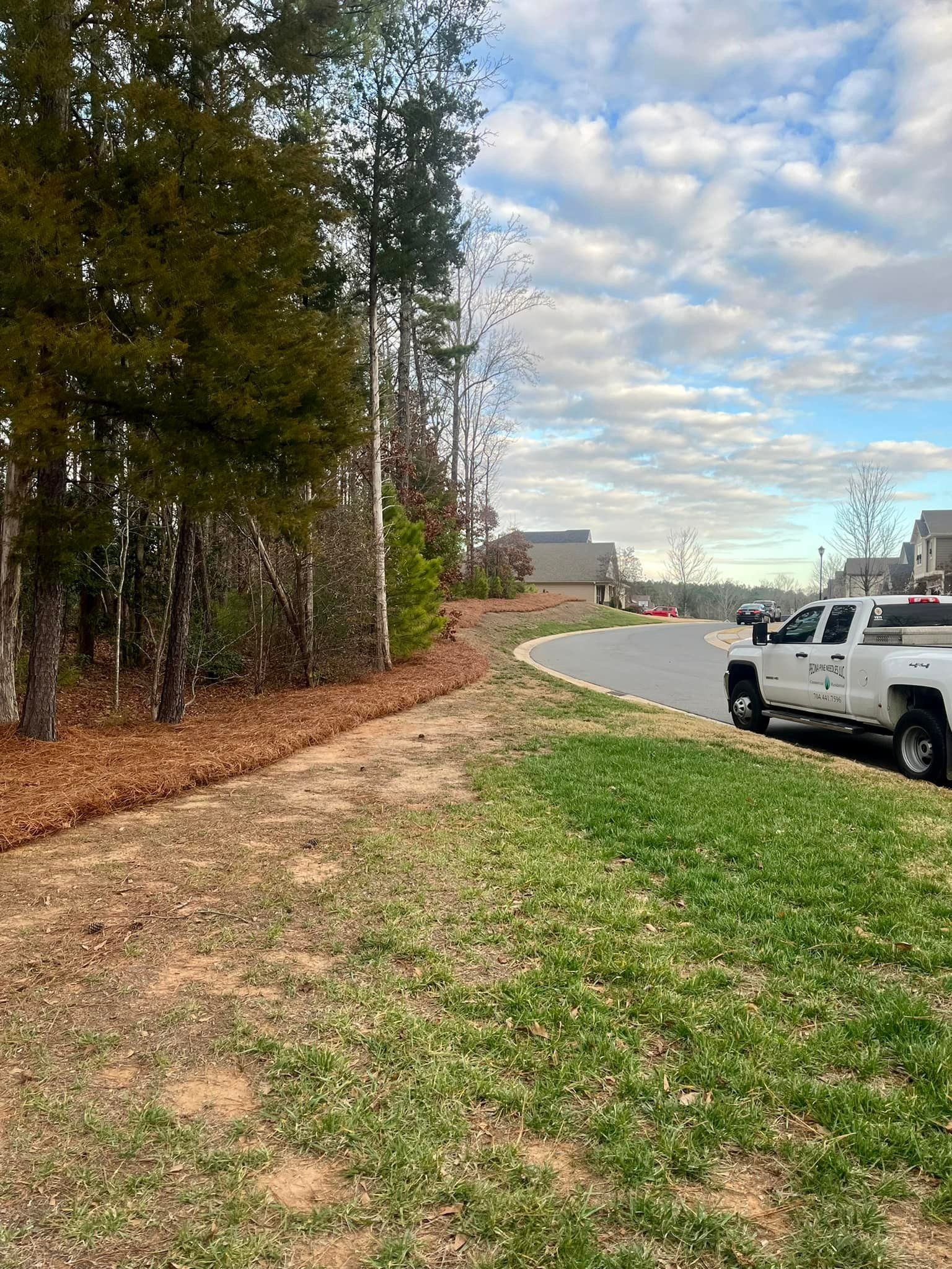  for Pecina Pine Needles in Monroe, NC