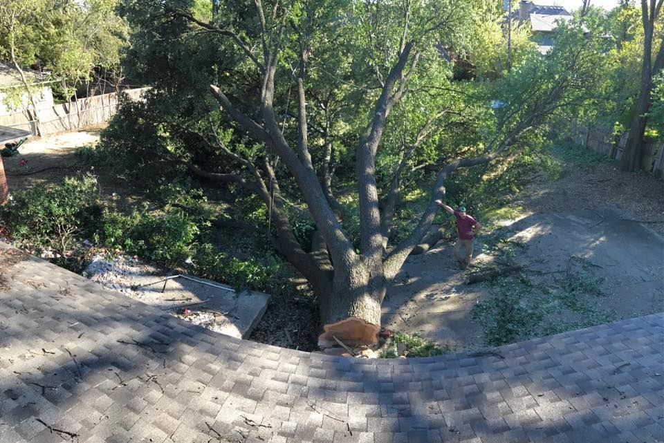  for A Realtree Service in Garland, TX