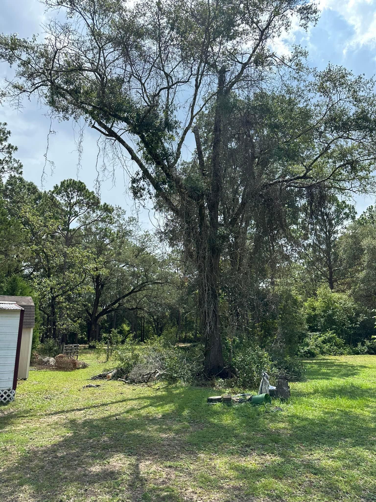 All Photos for White’s Land Maintenance in Milton,, FL