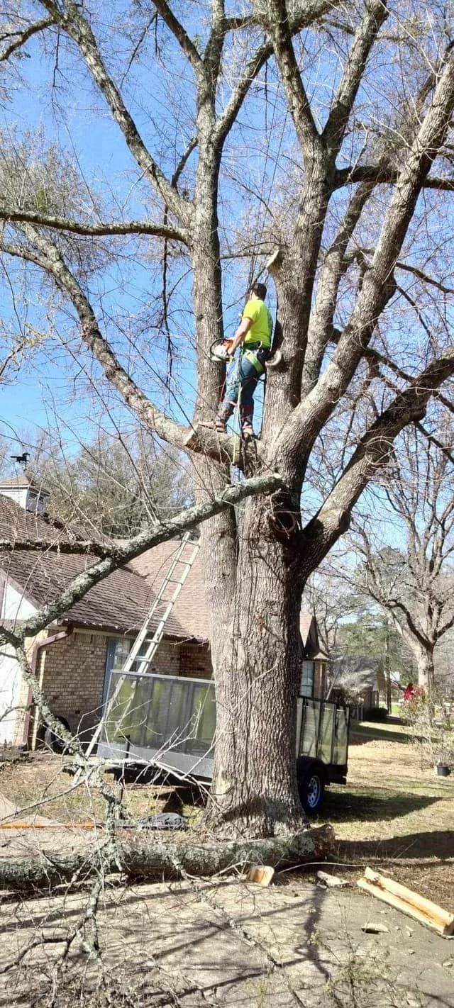  for J&S Tree Services  in Quitman,  TX