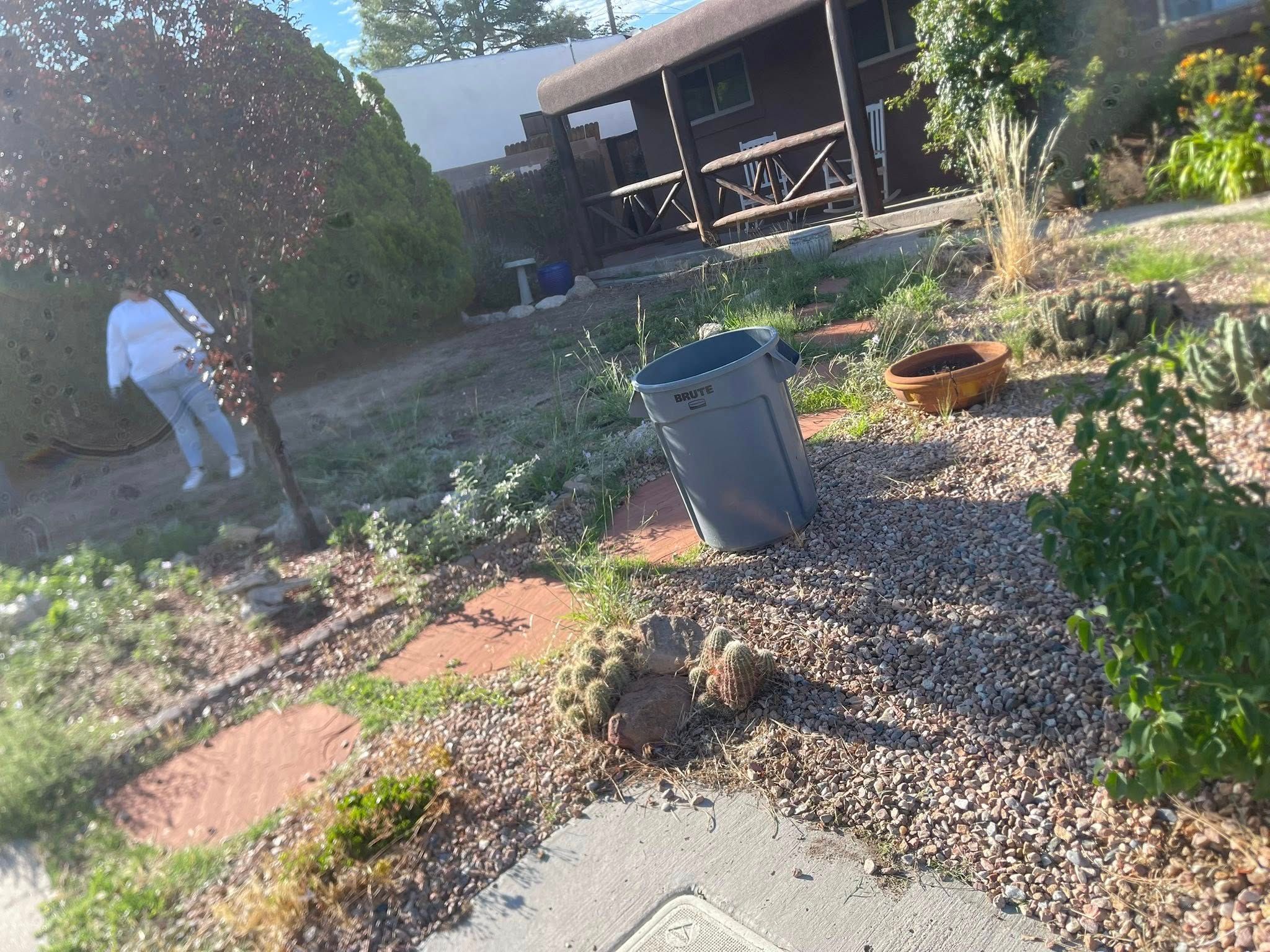  for Luxury Junk Removal Yard Care in Albuquerque, NM