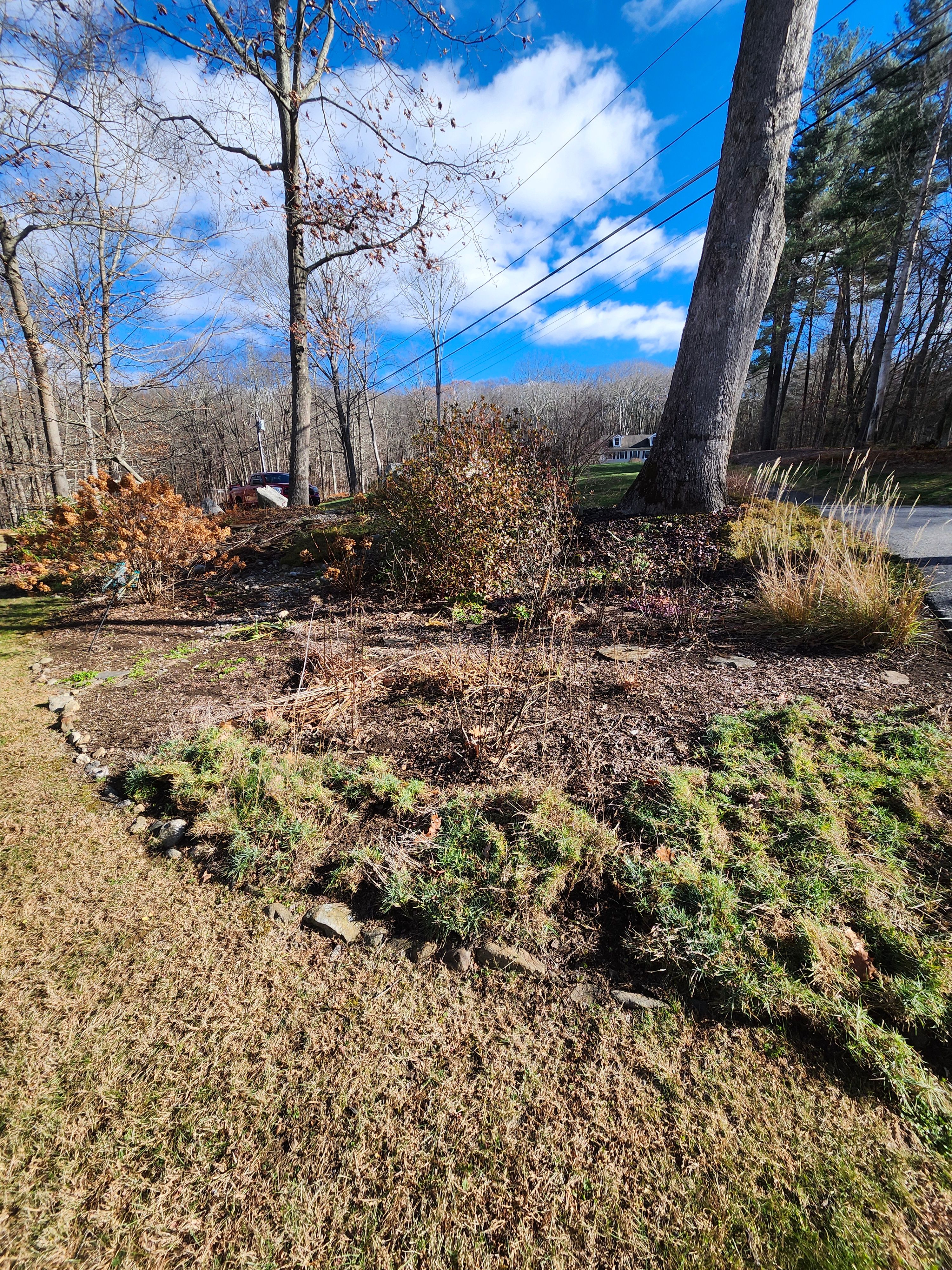 Spring & Fall Cleanups for Landscape Innovations LLC in Torrington, CT