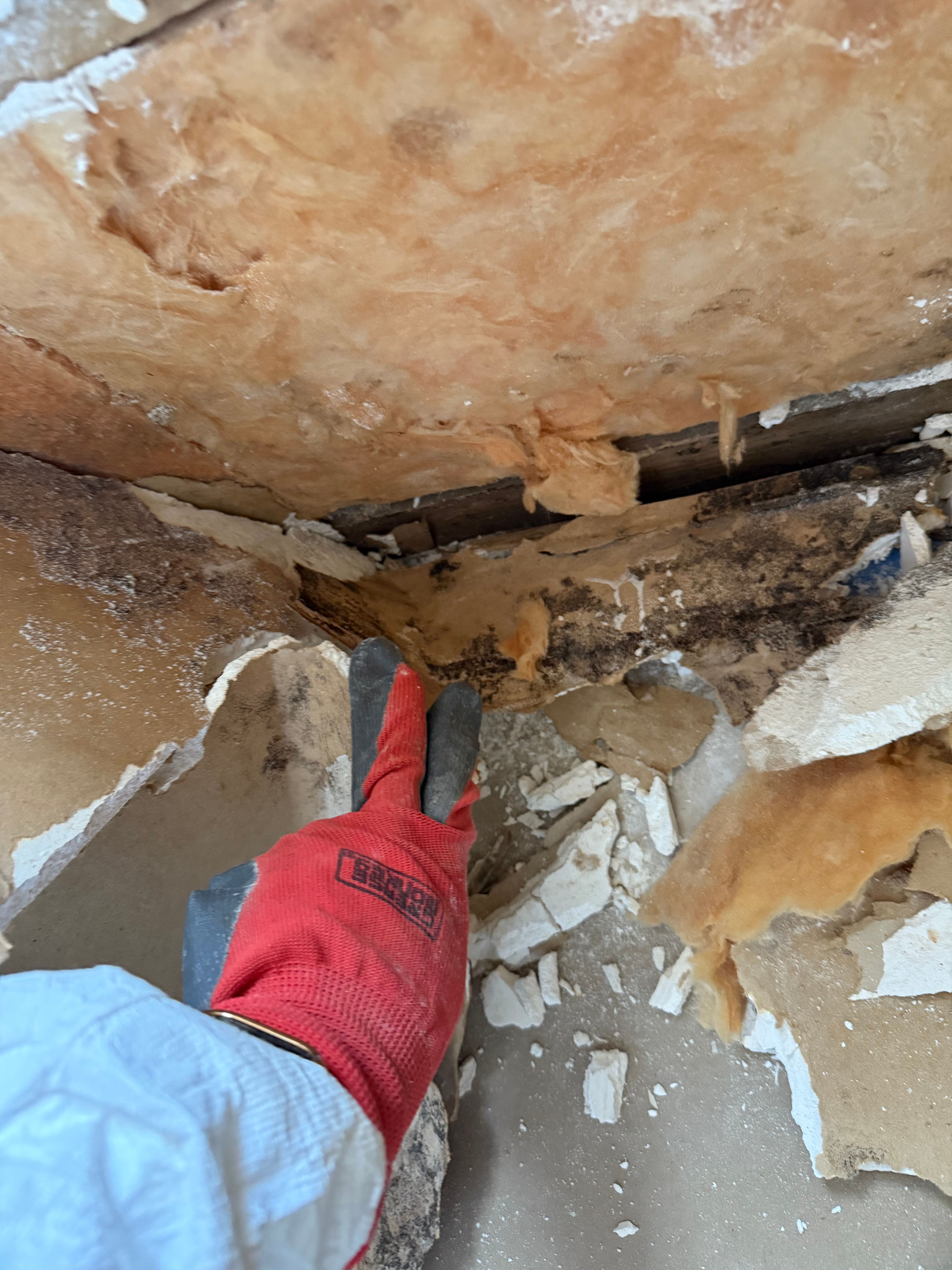  for N&D Restoration Services When Disaster Strikes, We Come In in Cape Coral,  FL