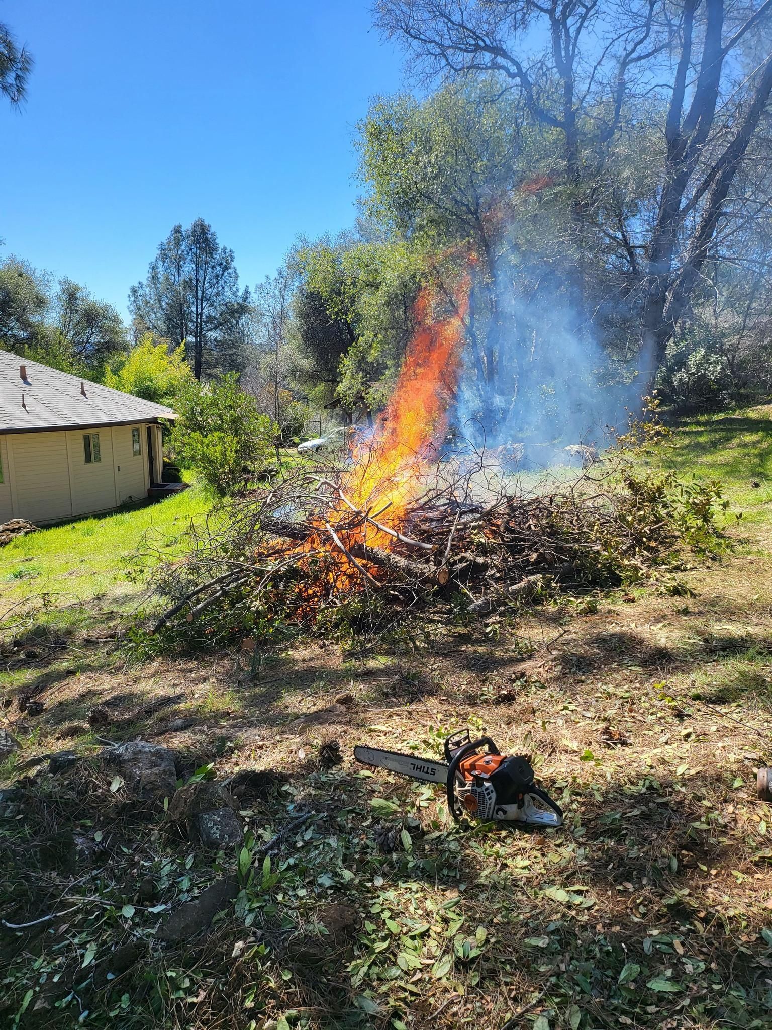  for Terra Heights Tree Experts & Landscaping  in Grass Valley,  CA