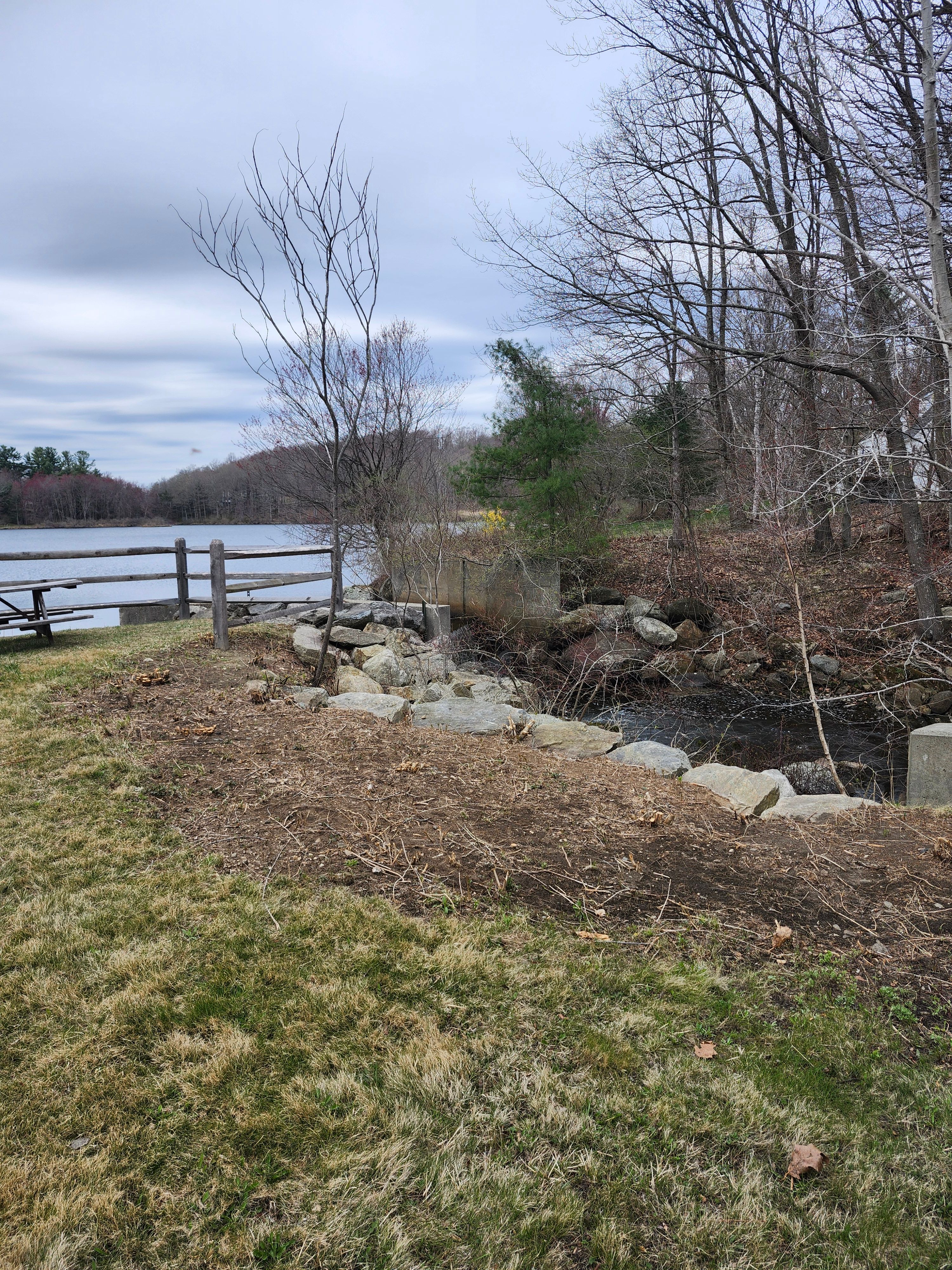 Hedge/Tree/Brush Cutting for Landscape Innovations LLC in Torrington, CT