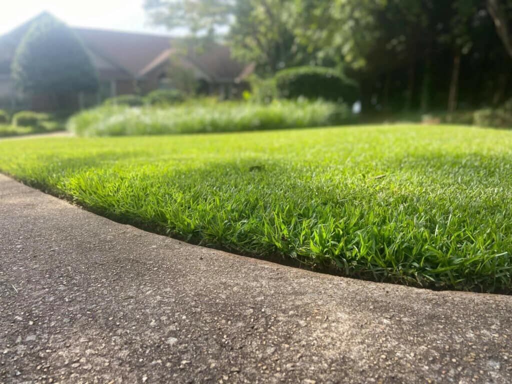All Photos for Mountain View Lawn Care and Detail in Seneca, SC