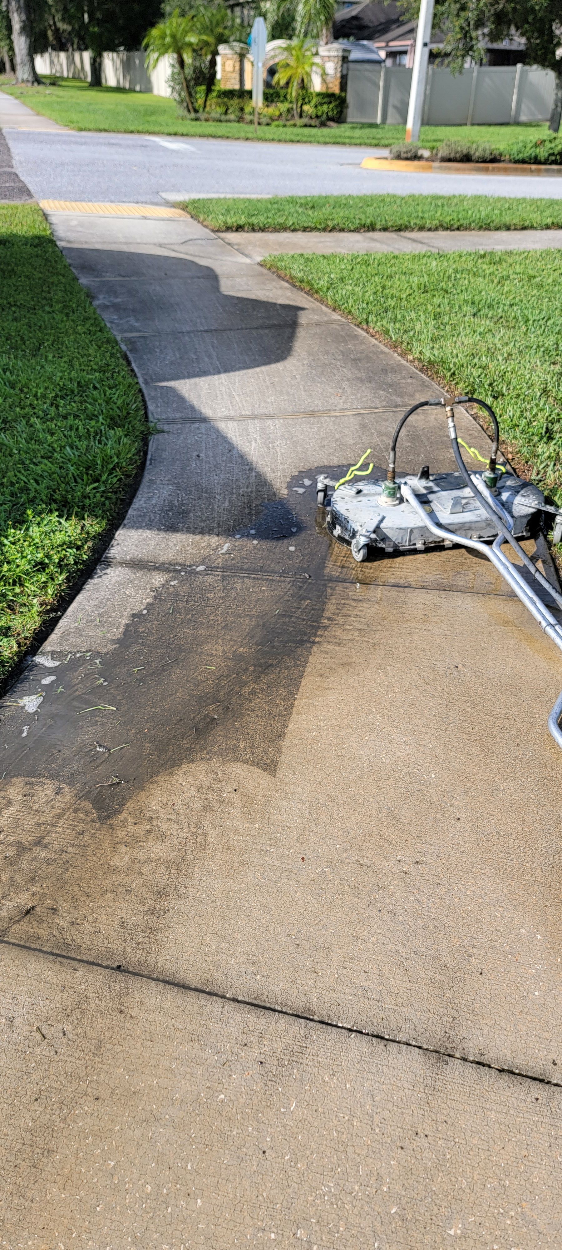  for Blue Stream Roof Cleaning & Pressure Washing in Tampa, FL