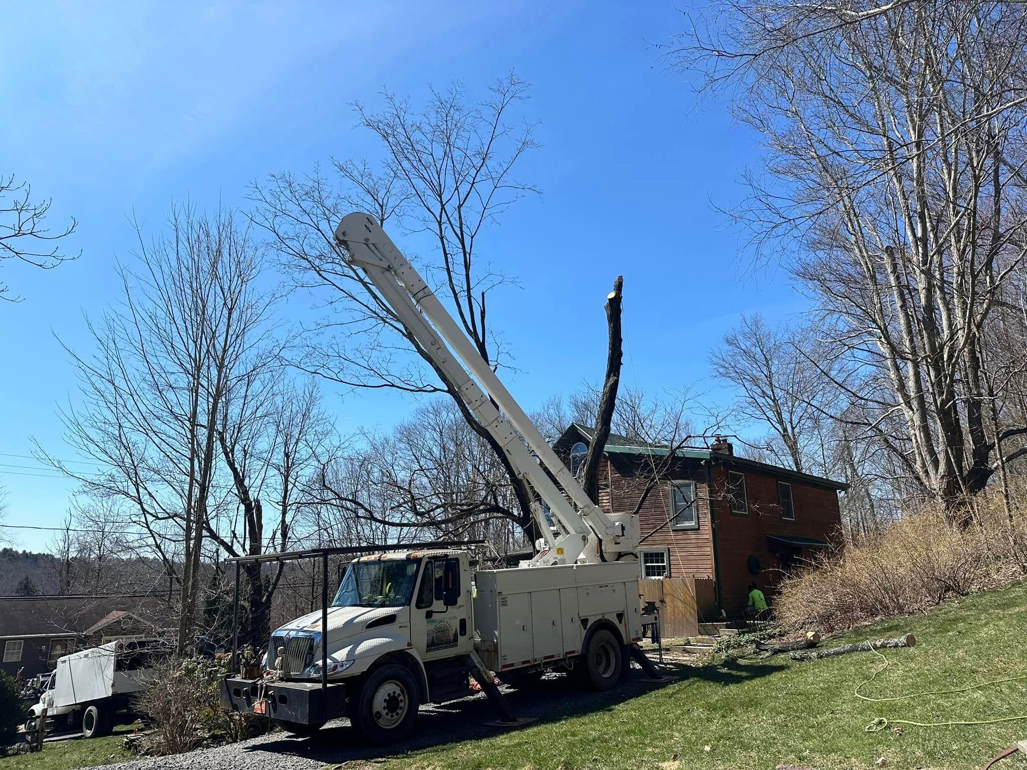  for All American Tree Services LLC in Dallas, PA