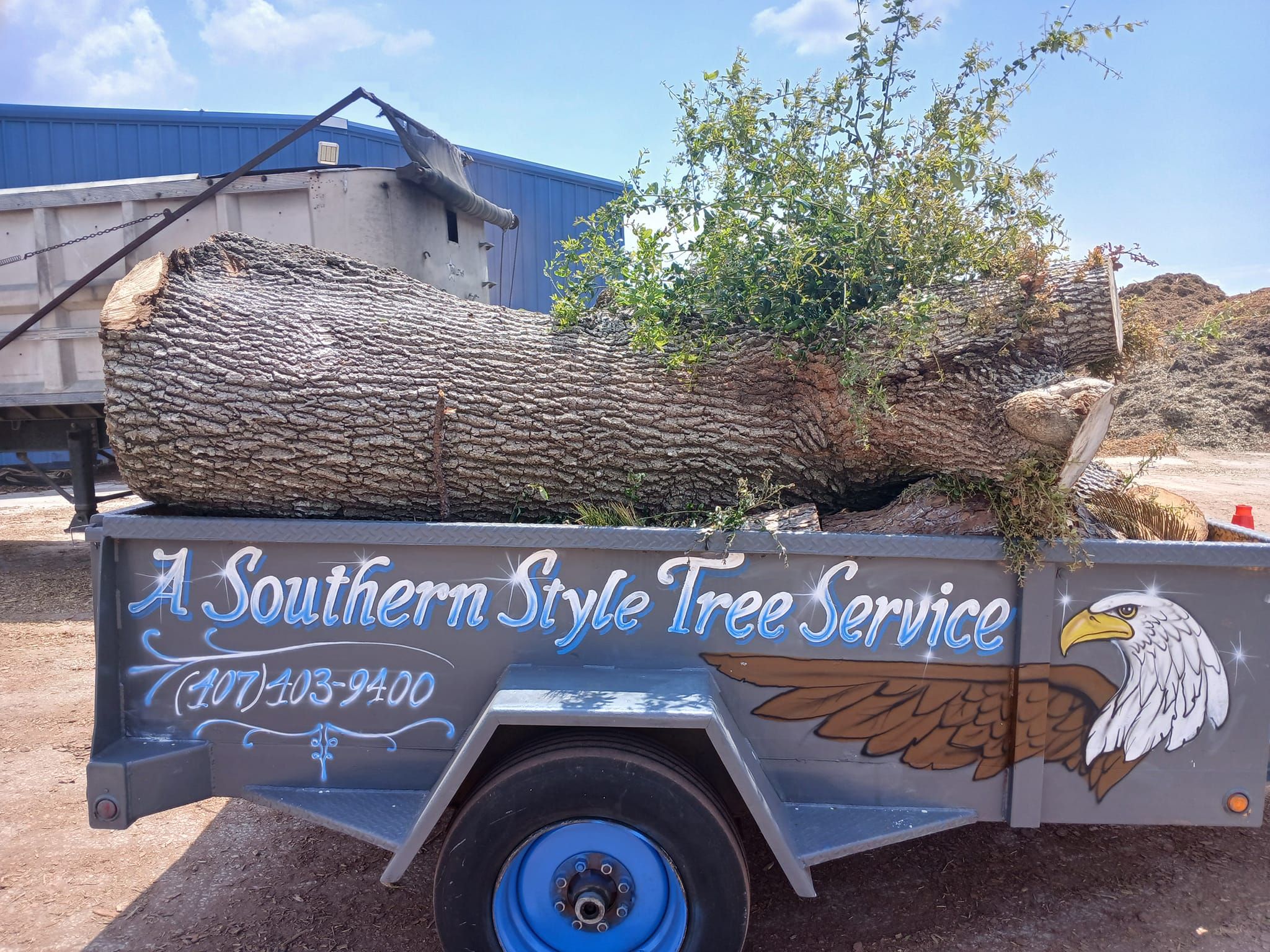  for A Southern Style Tree Service in Orlando, FL