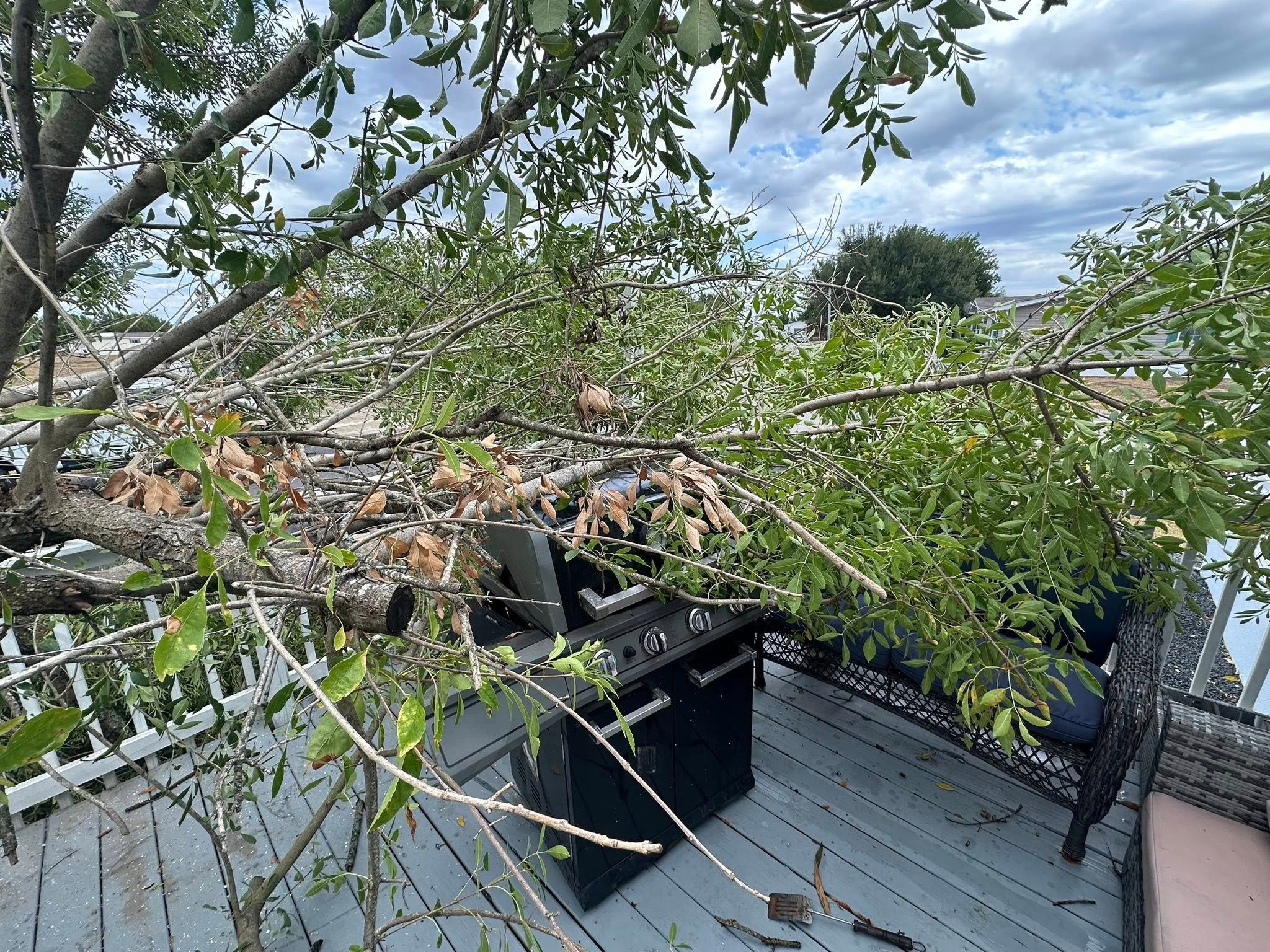  for Austin's Lawn Enforcement in Austin, TX