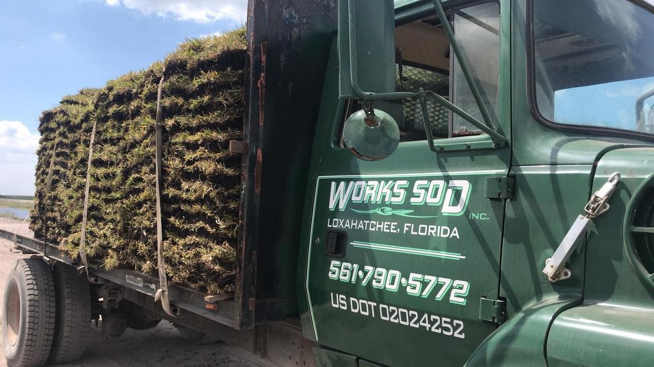 Hardscaping for WORKS SOD in West Palm Beach, FL