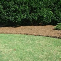  for Terra Bites Lawn Service in Jefferson, GA