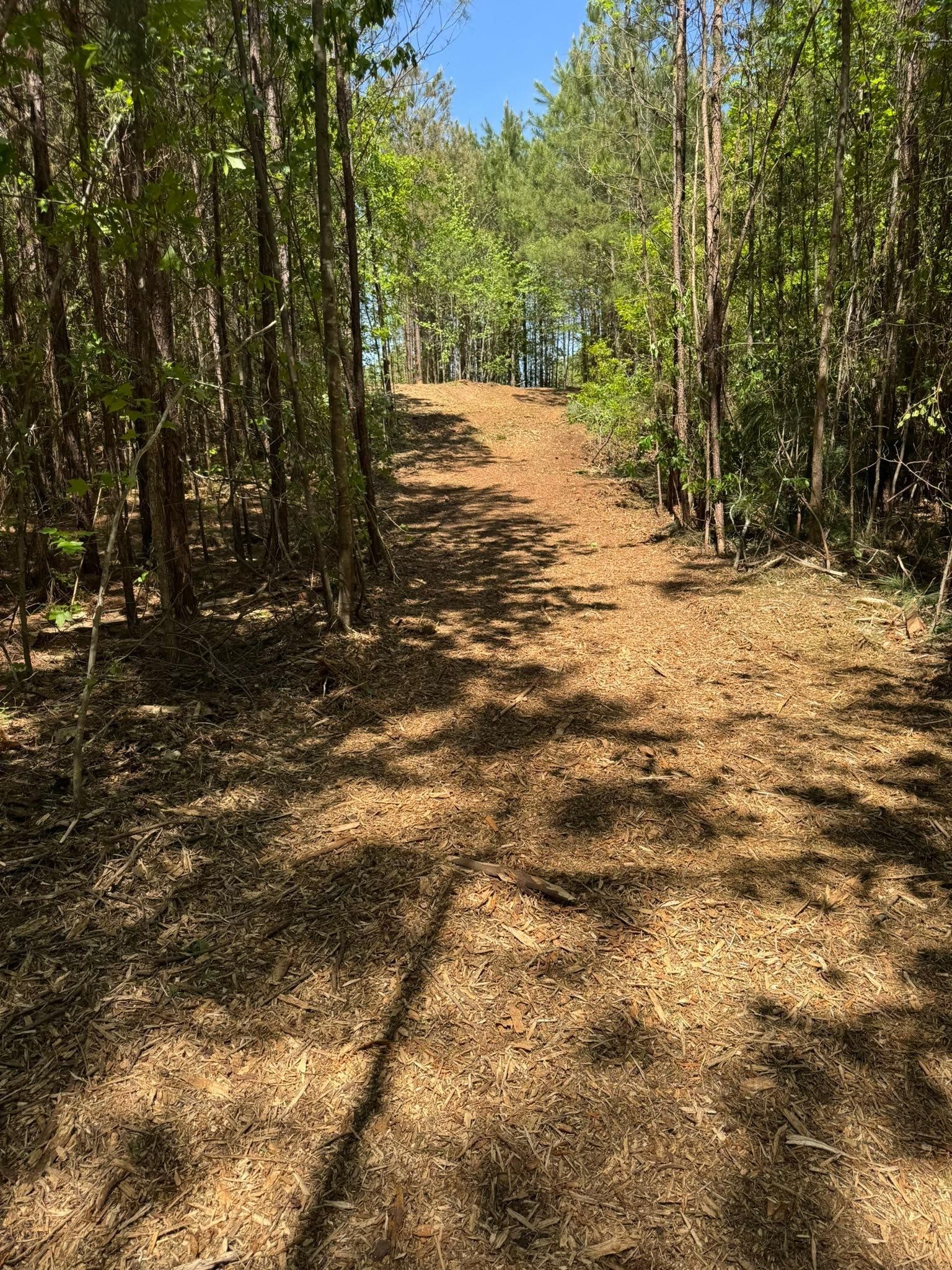  for KLNAX Enterprises in Newton County, GA