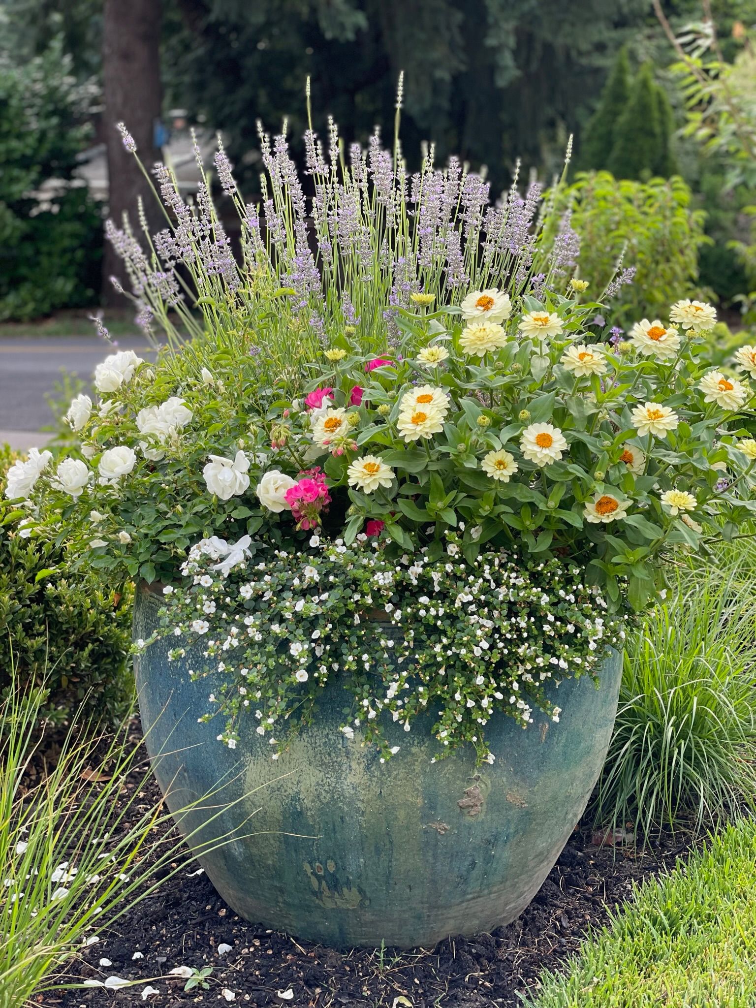  for Courtney Lewis Landscape Design in Portland, OR