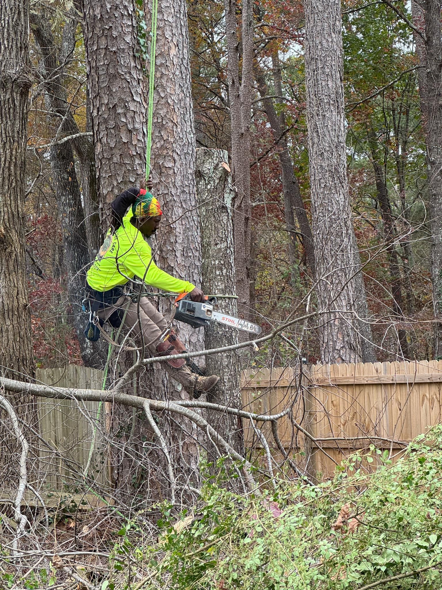  for Broadway Tree Care in Inverness, FL