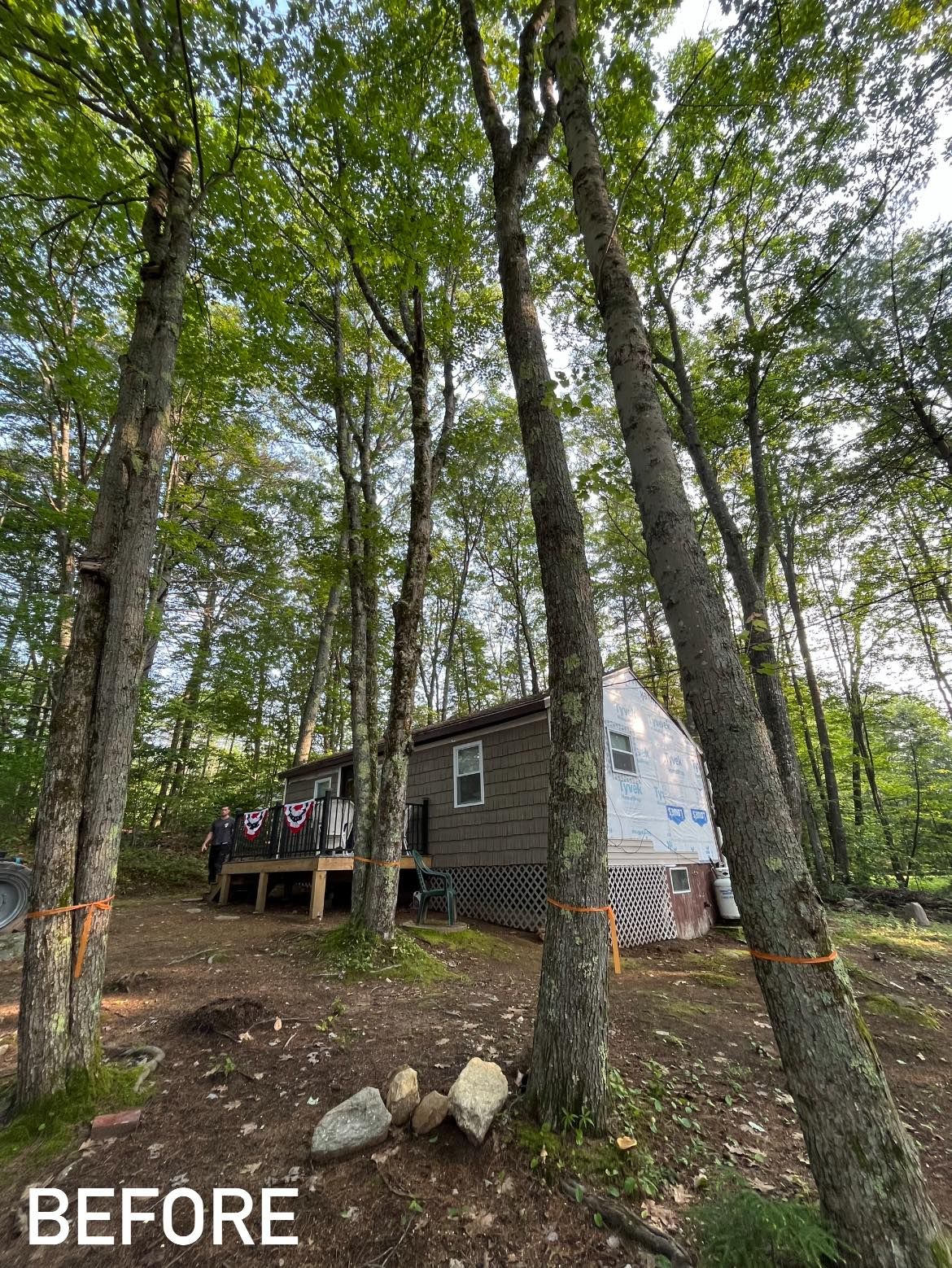  for Blue Ribbon Tree Service in Gilford, NH