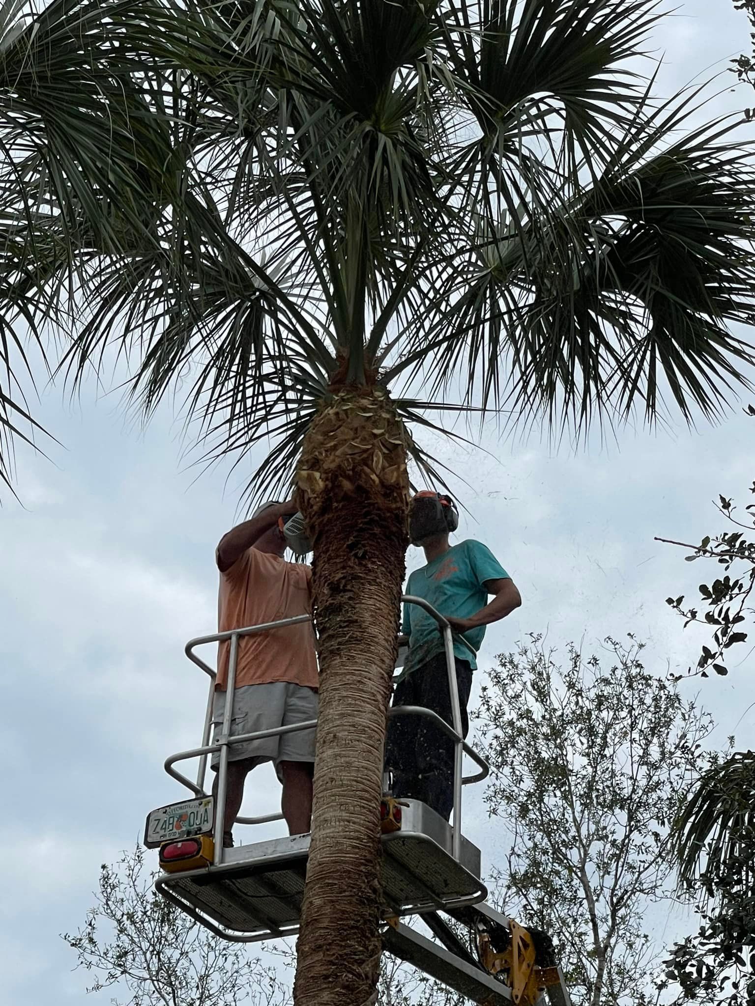  for Nick of Time Tree Service in North Port, FL