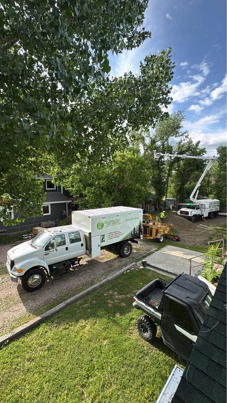  for Clean Cut Tree Service in Gillette, WY