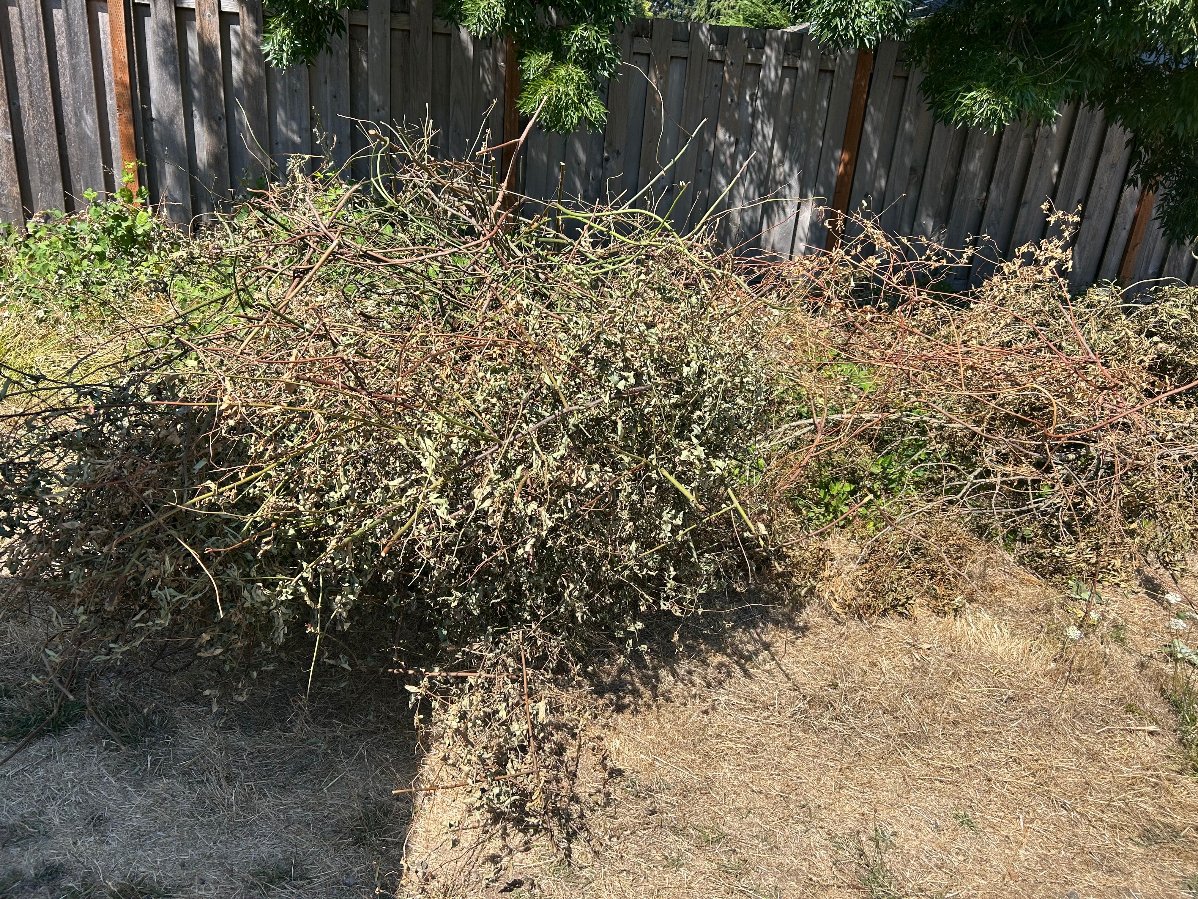  for Sol Junk Removal in Independence, OR