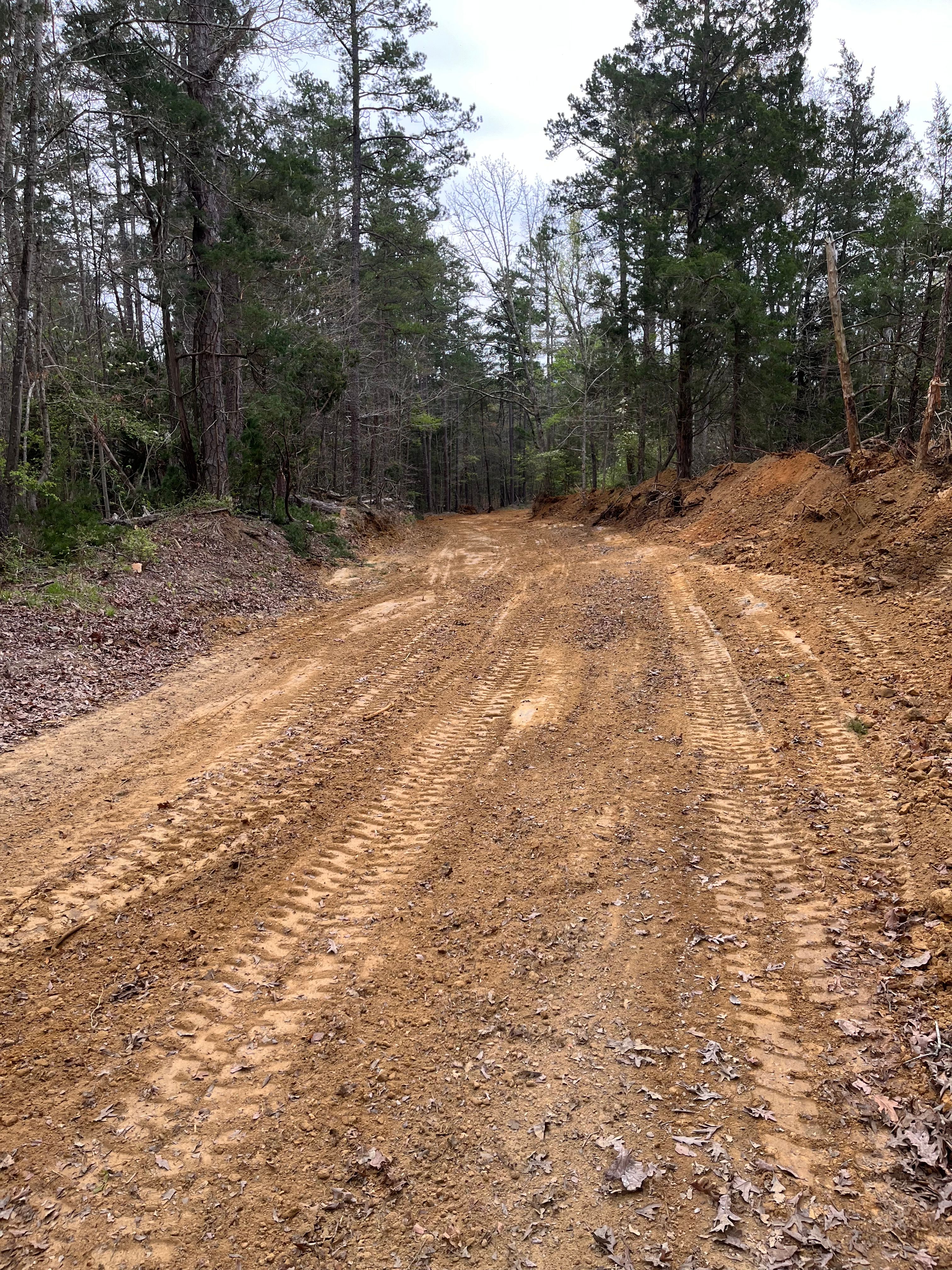  for Cone Grading and Land Clearing in Summerfield, NC