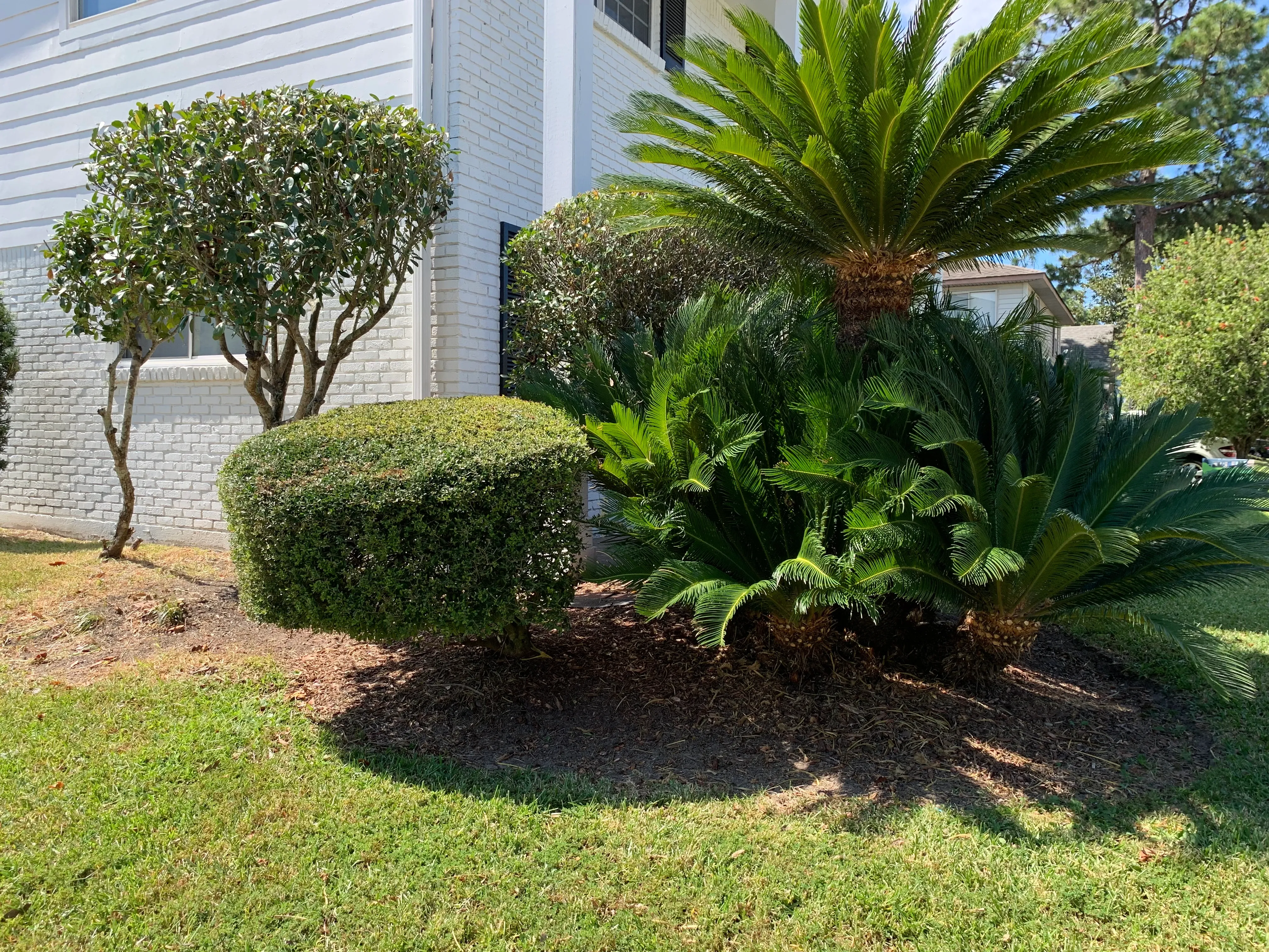  for Jay C’s Touch Landscaping & Pressure Washing Services LLC in Marrero, LA