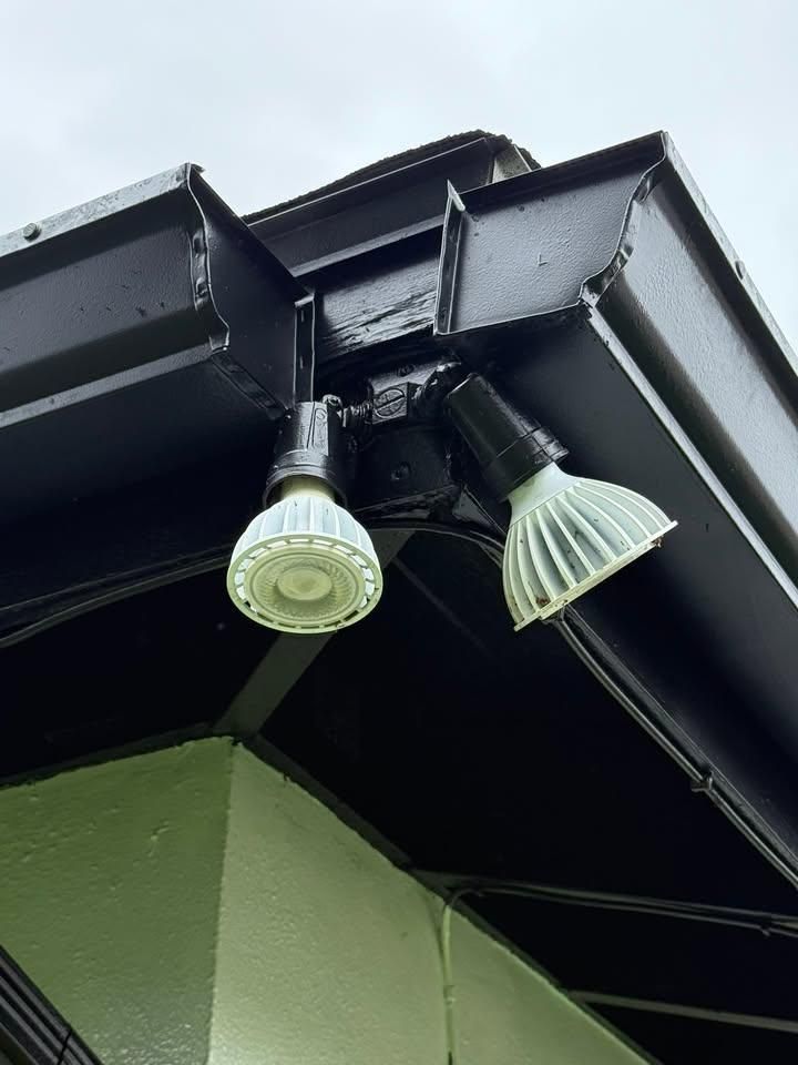  for Escorpio Painting in Tampa, FL