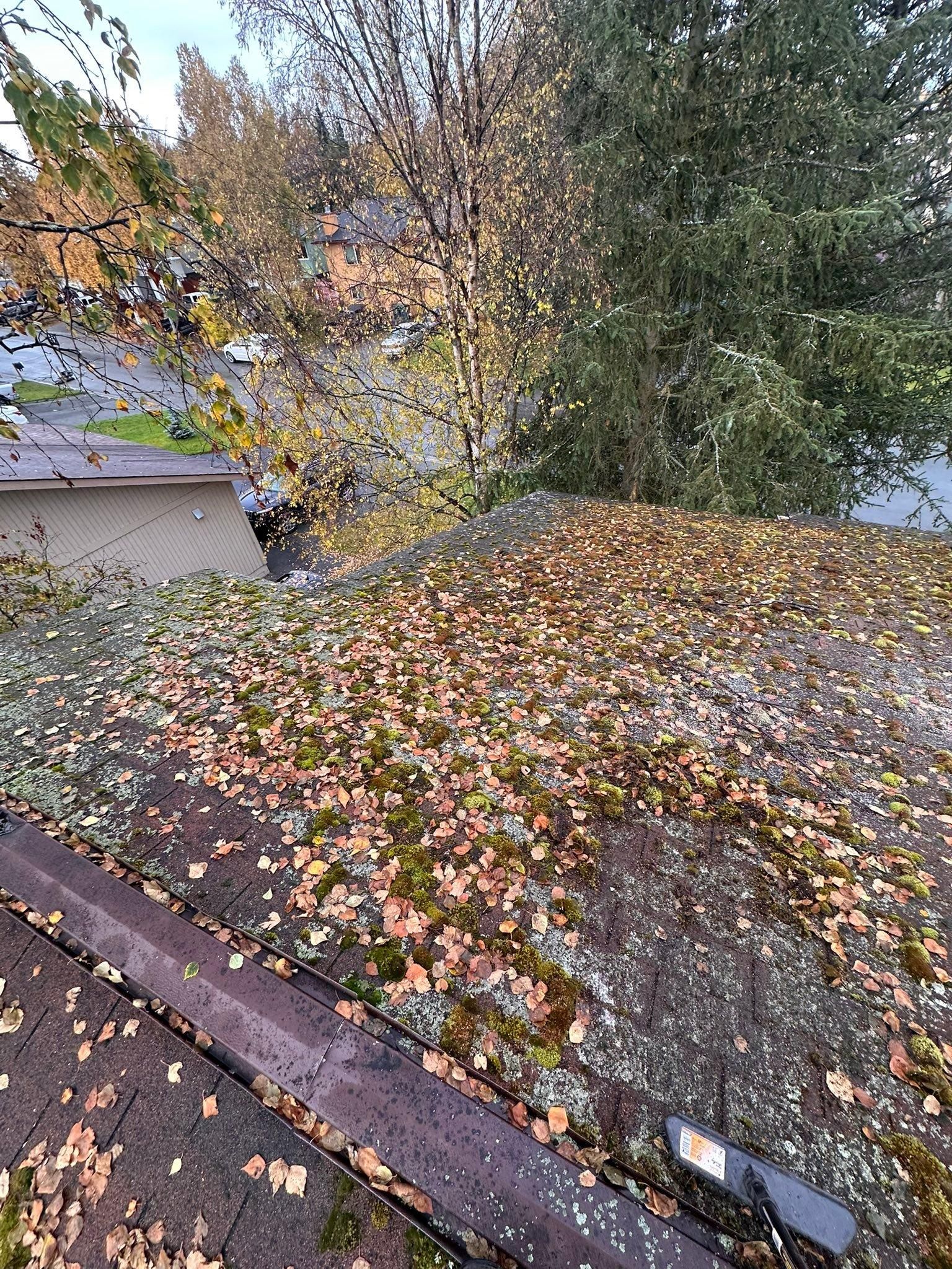 All Photos for Alaskan Residential Rescue in Anchorage, AK