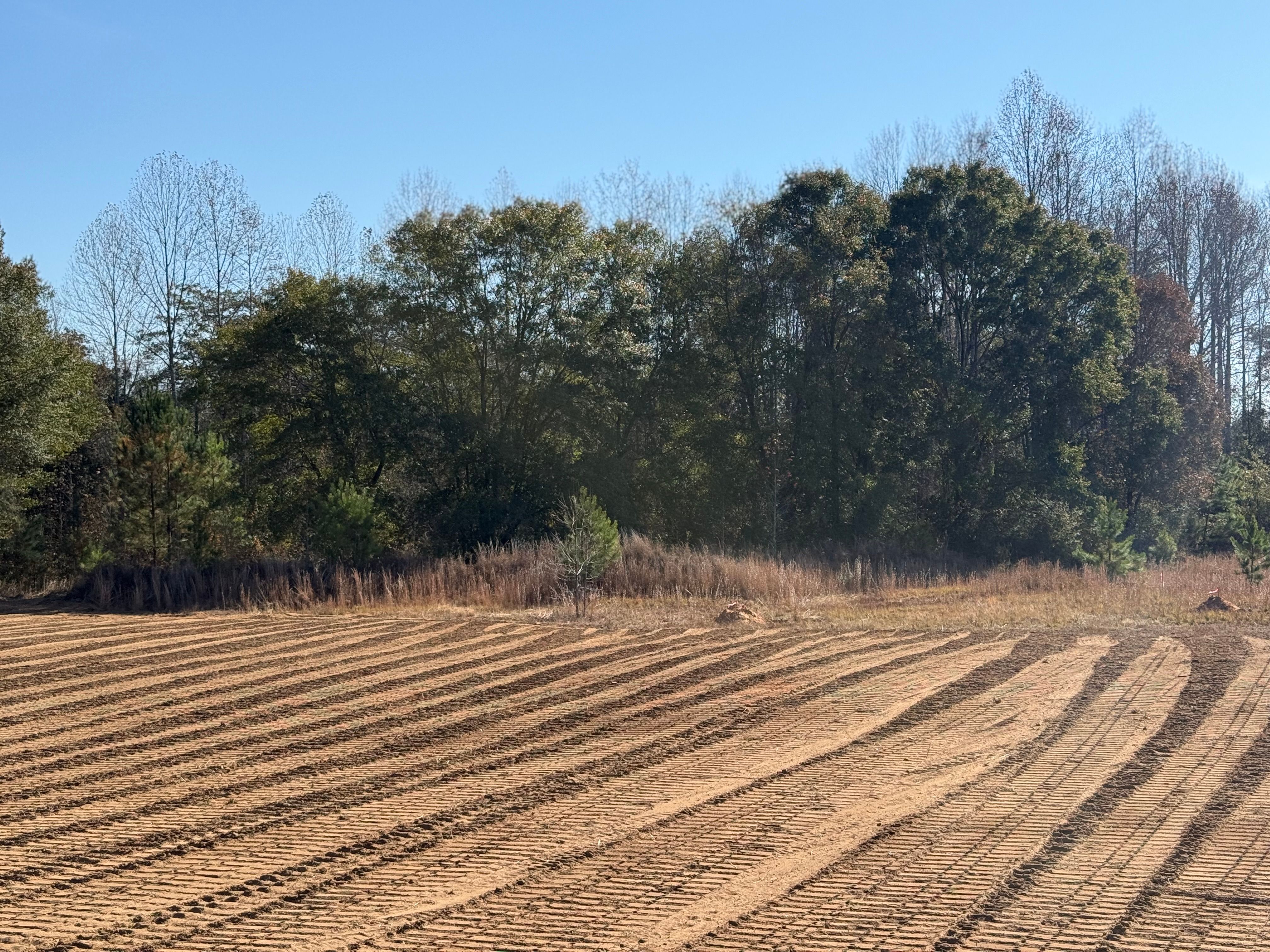 All Photos for Central Alabama Site Works in Selma, AL