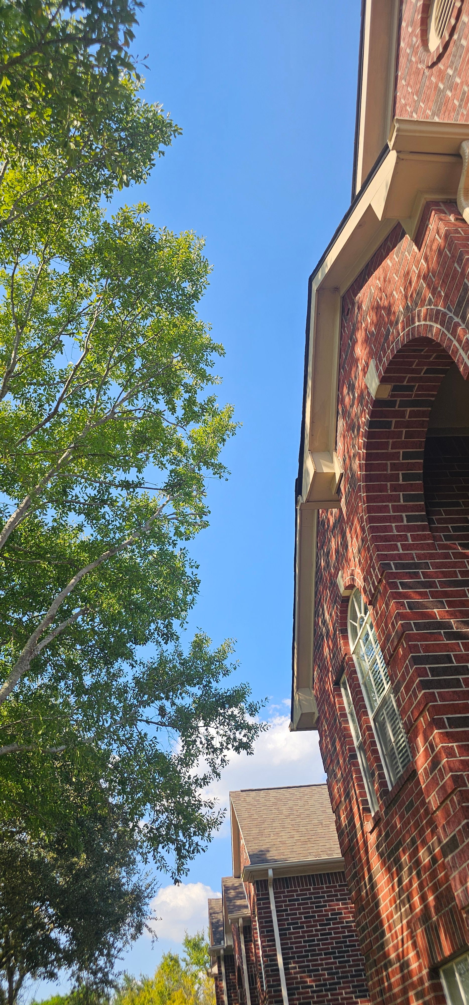  for Servin's Tree Care  in Houston, TX