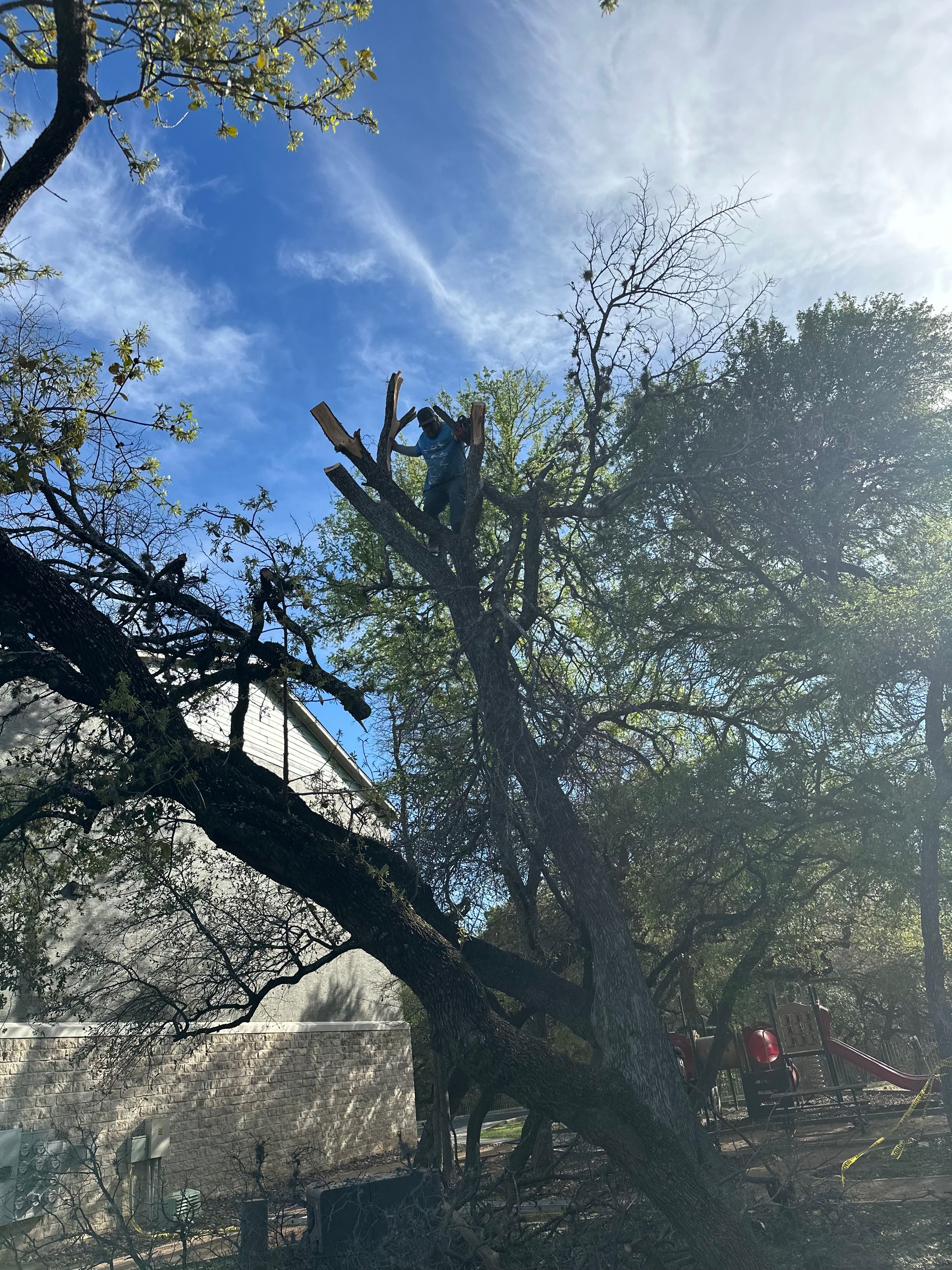  for DR Landscape in San Antonio, TX