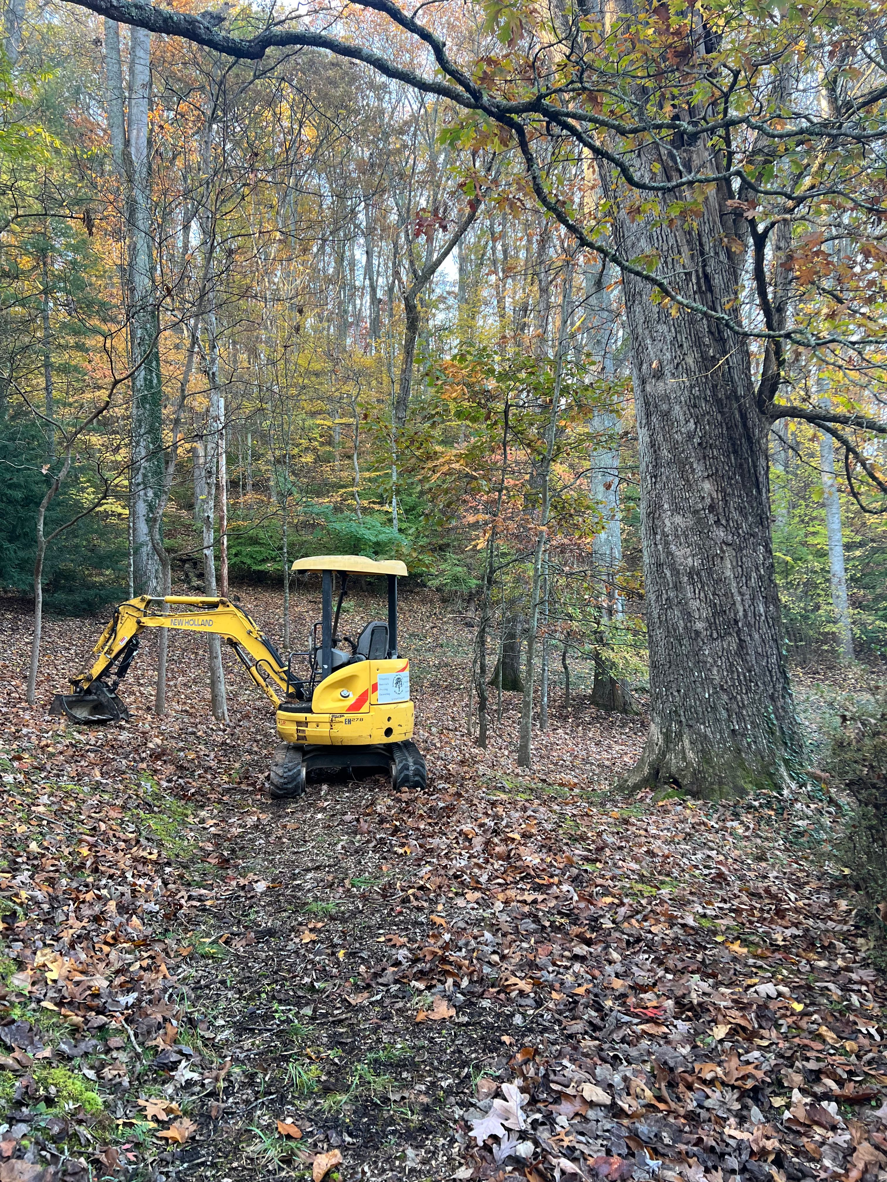  for Ground To Sky Tree Care in Asheville, North Carolina