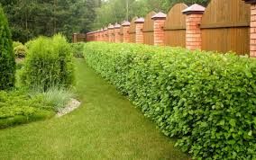 All Photos for Johnson Lawn Services in Fredericksburg, VA