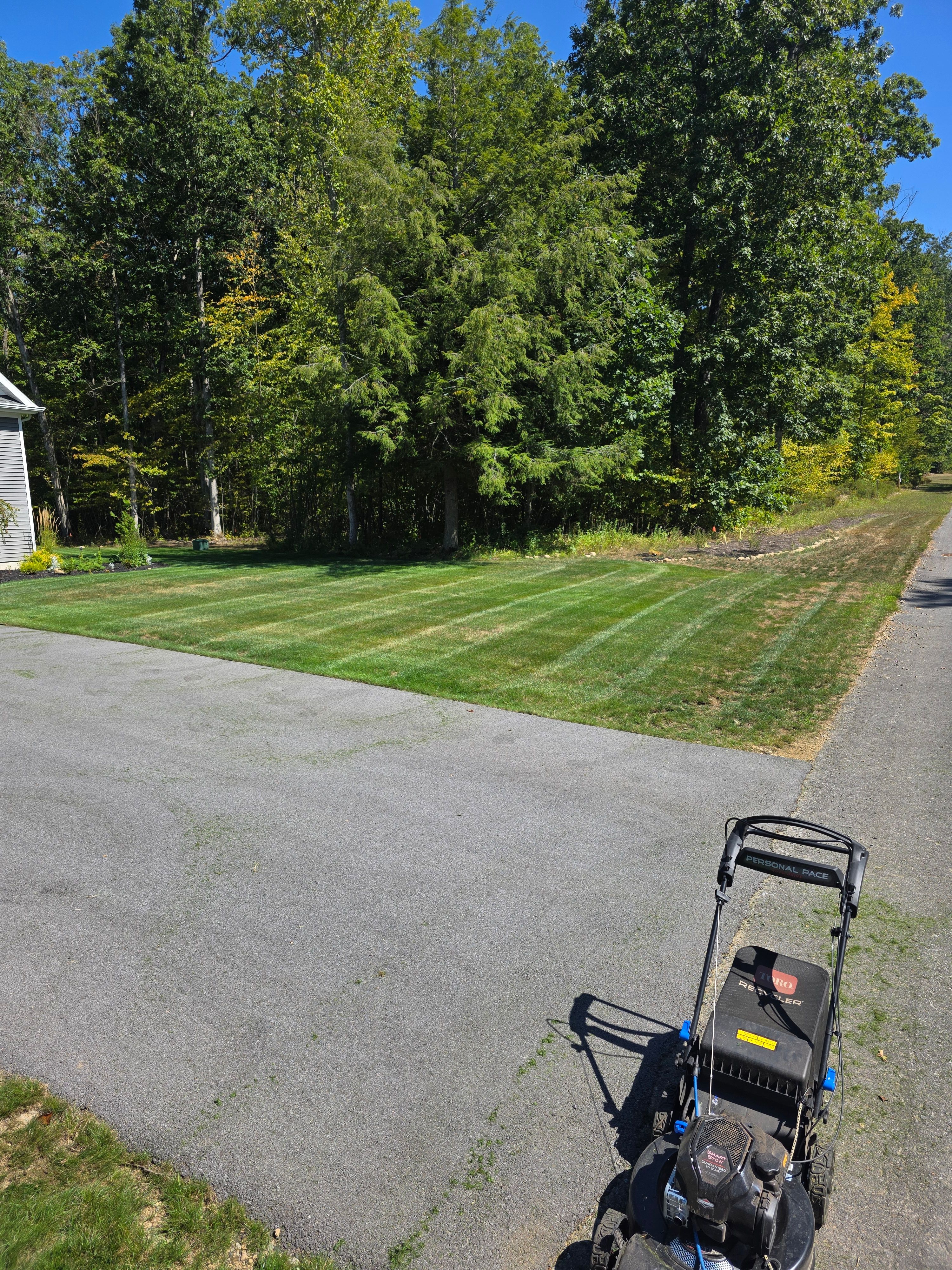  for Sweet Scapes in Ballston Spa, NY