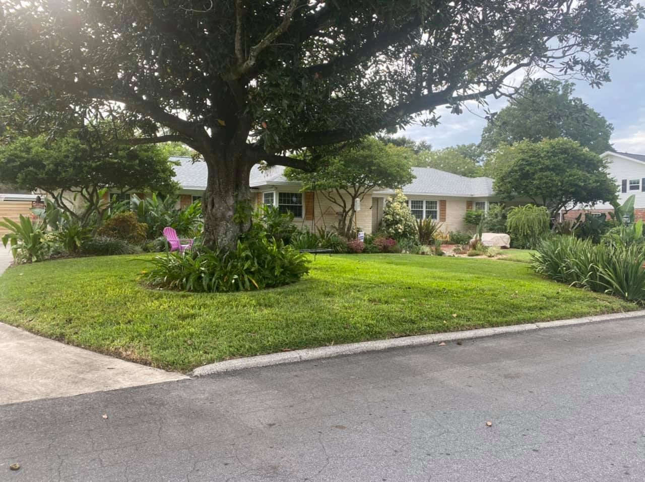 All Photos for A&D Lawn Care of Lakeland in Lakeland, FL