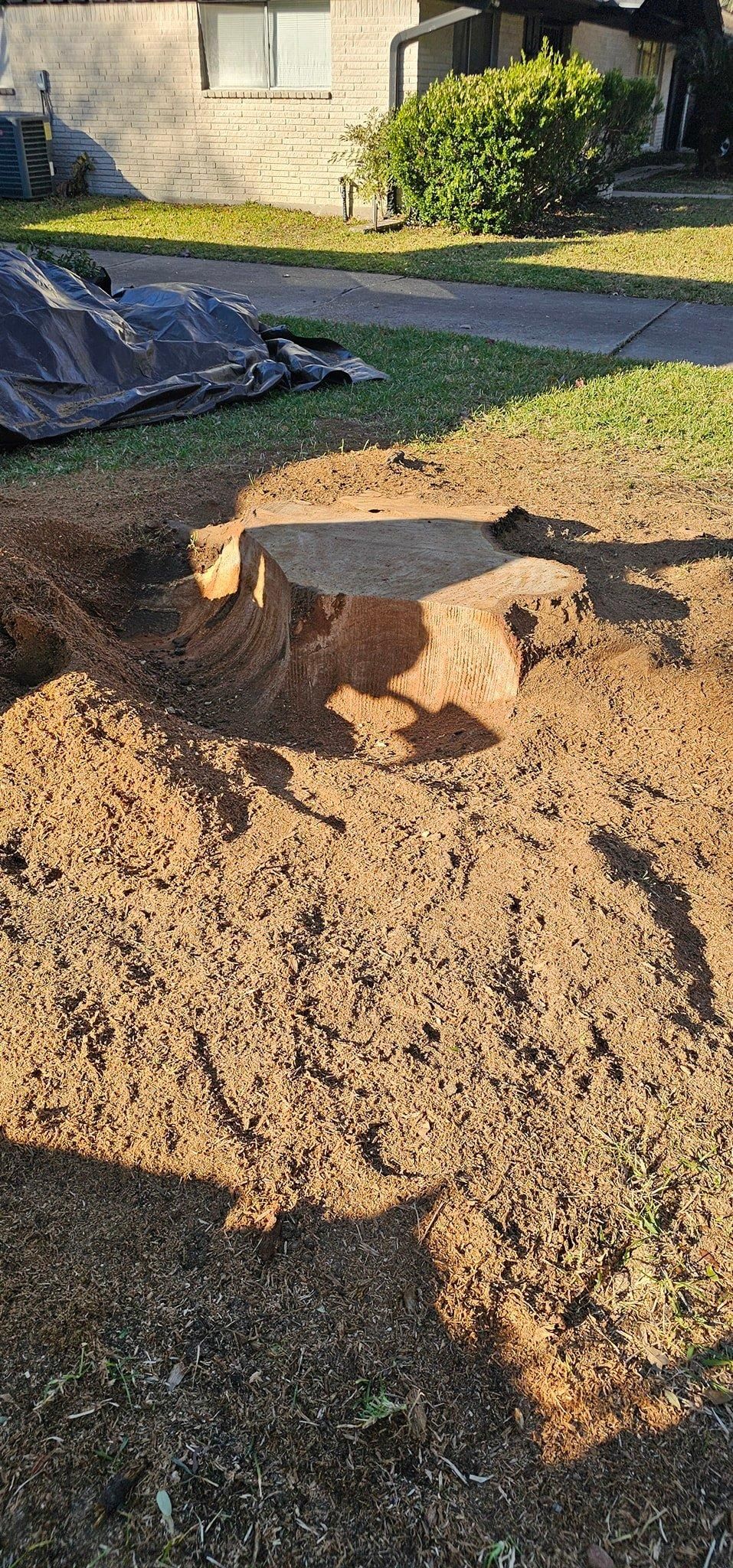  for Servin's Tree Care  in Houston, TX