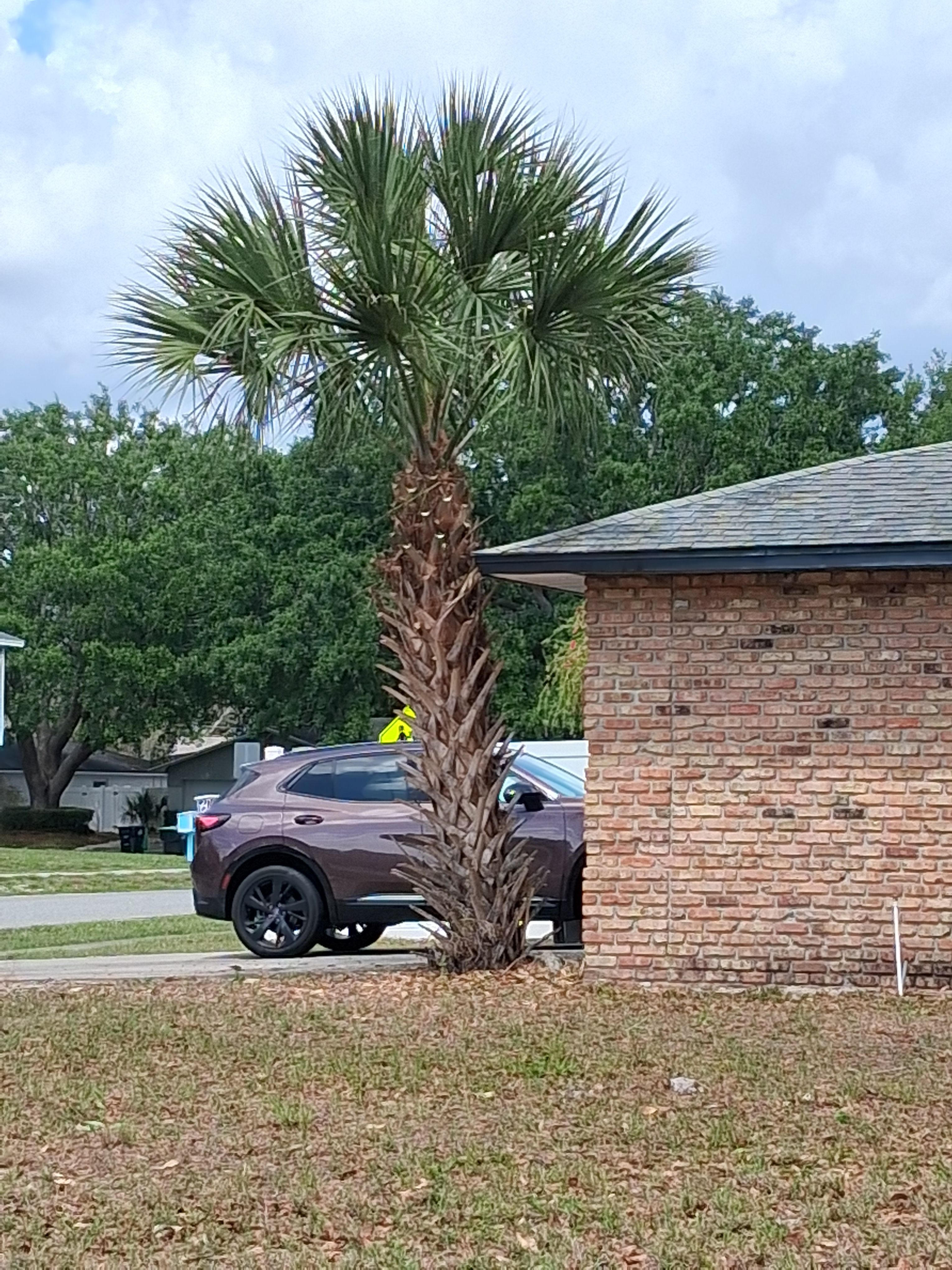  for A Southern Style Tree Service in Orlando, FL