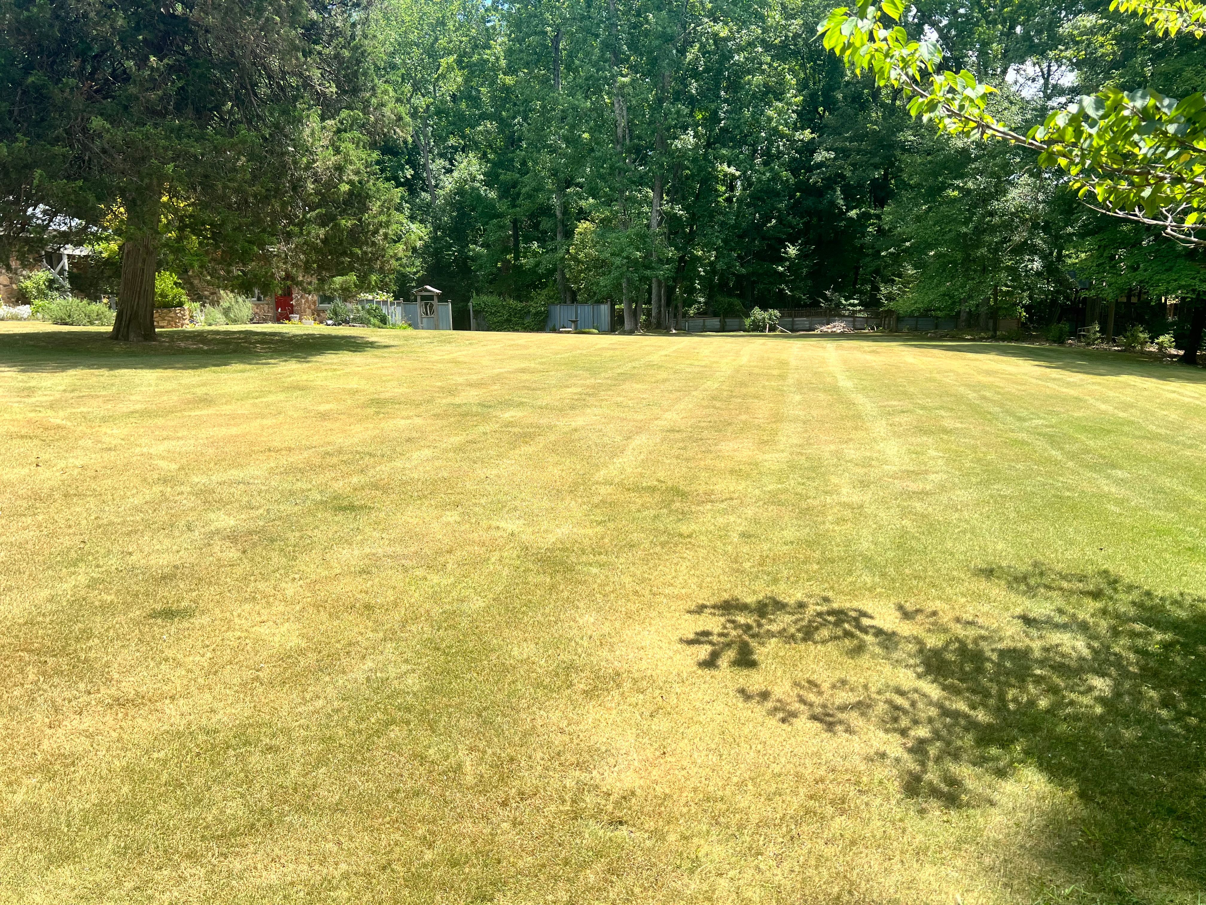  for JC Lawn Care and Landscaping in Athens, GA