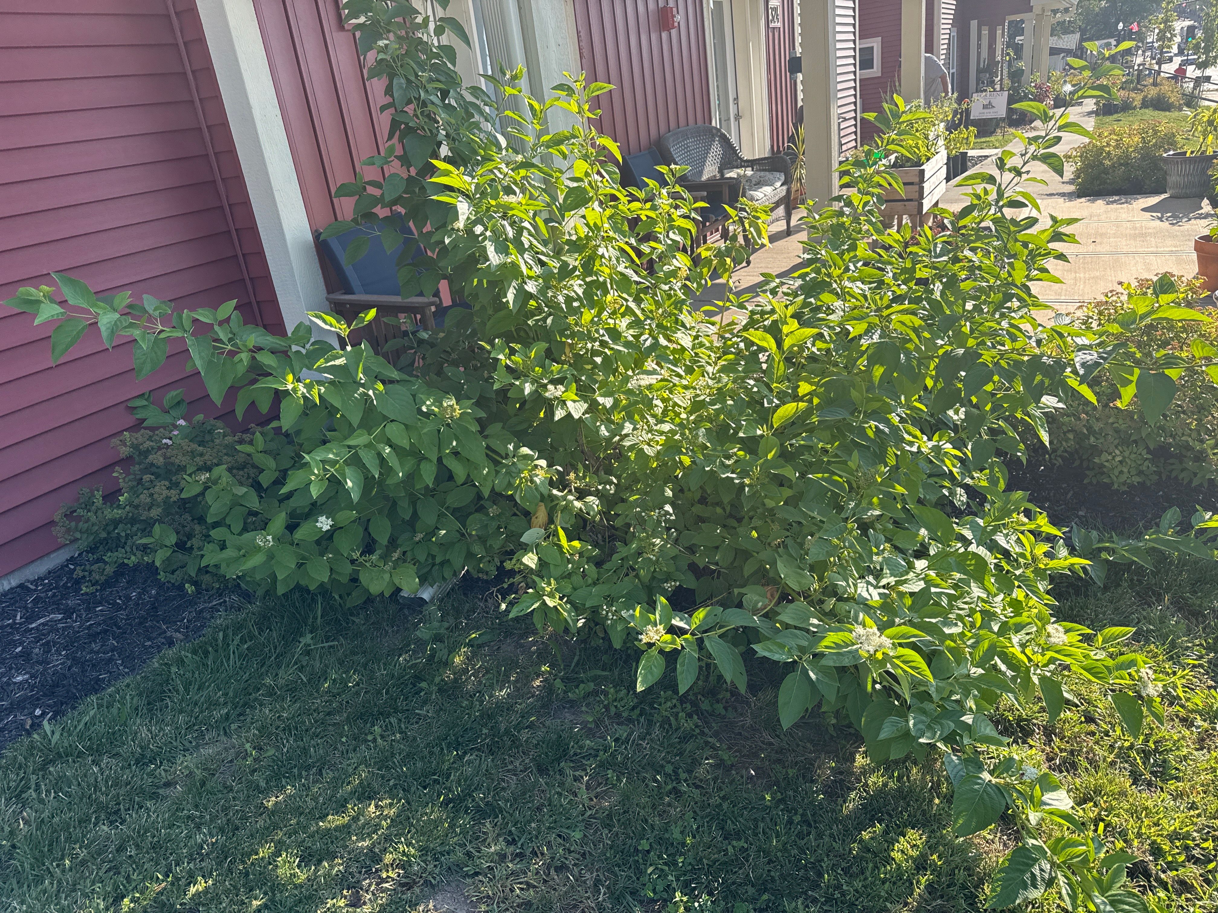  for Perfect Lawn Solutions LLC in Marshall, WI