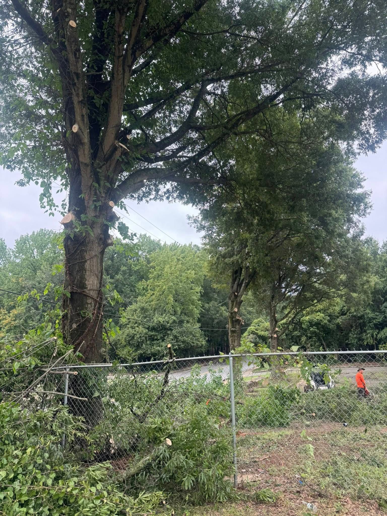  for K-2 Tree Service in Shelby, NC