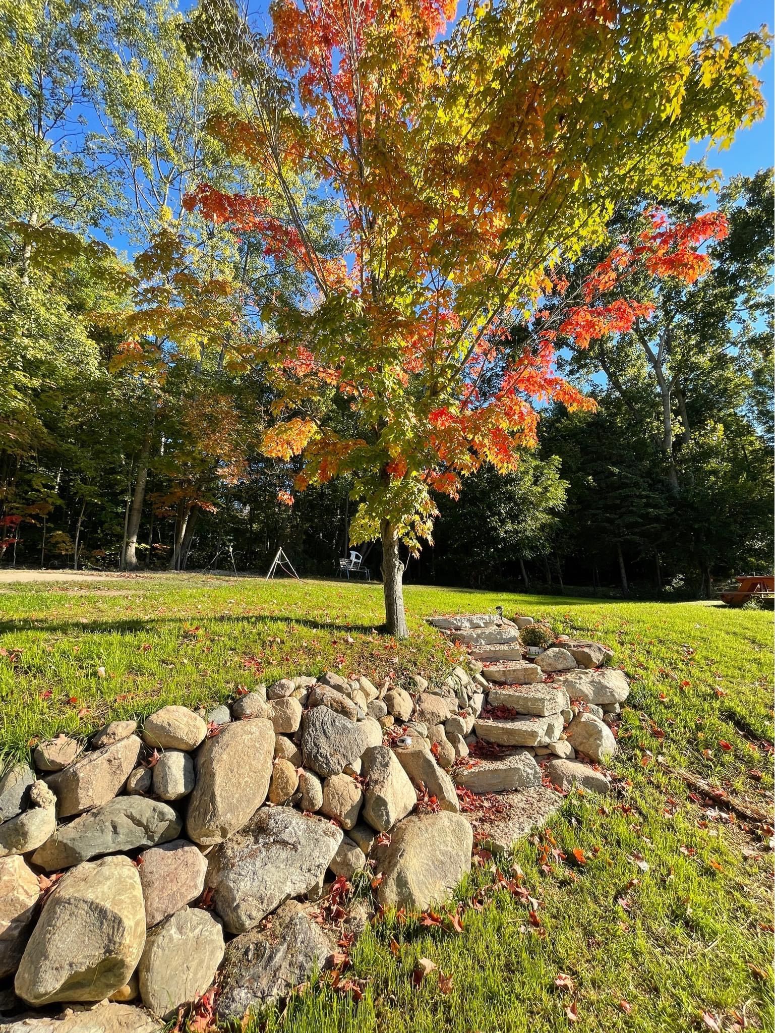  for Palmer Property Services in Middleville, MI