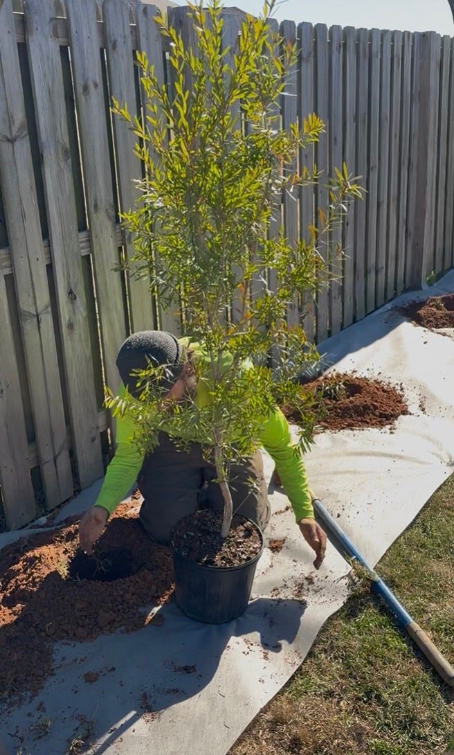  for Enhanced Landscape in Daphne, AL