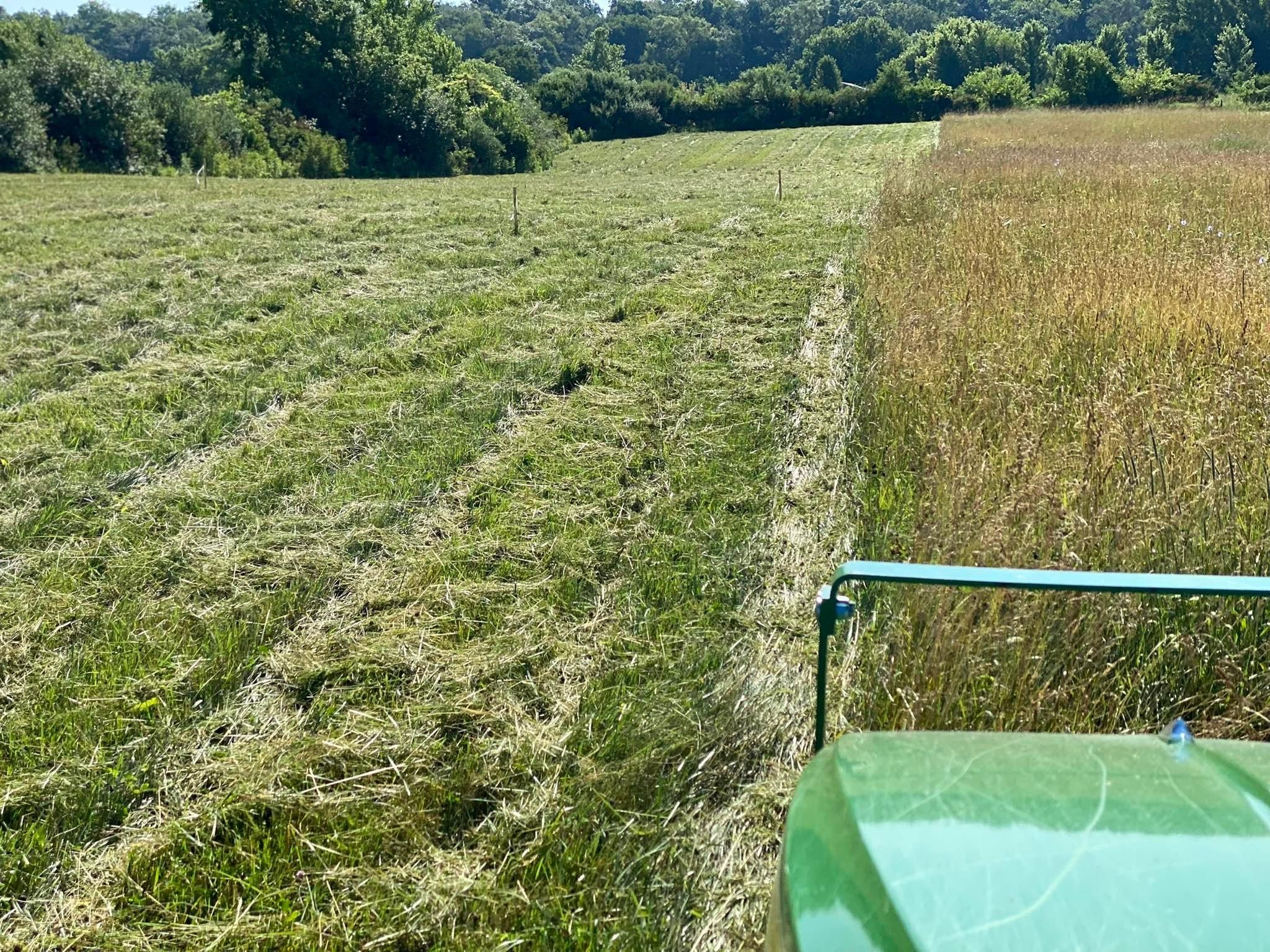 All Photos for A1 Bush Hogging & Lawn Service in Columbus, OH