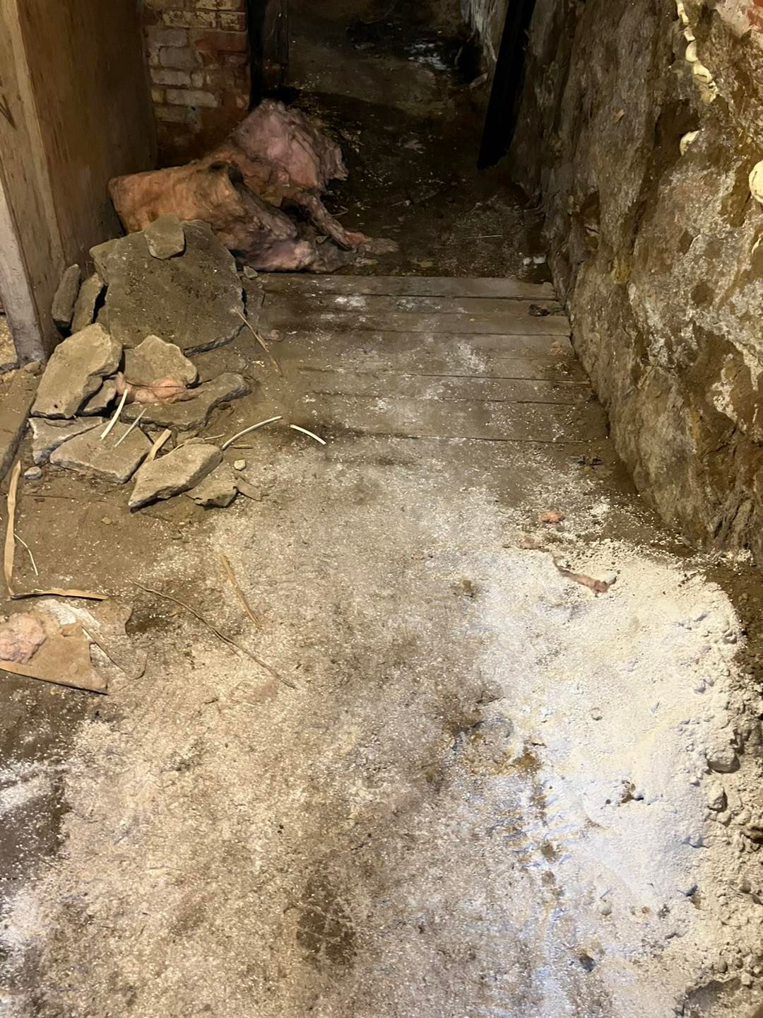 All Photos for Bruce's Removal Demolition and Tree Services in Gilsum, NH