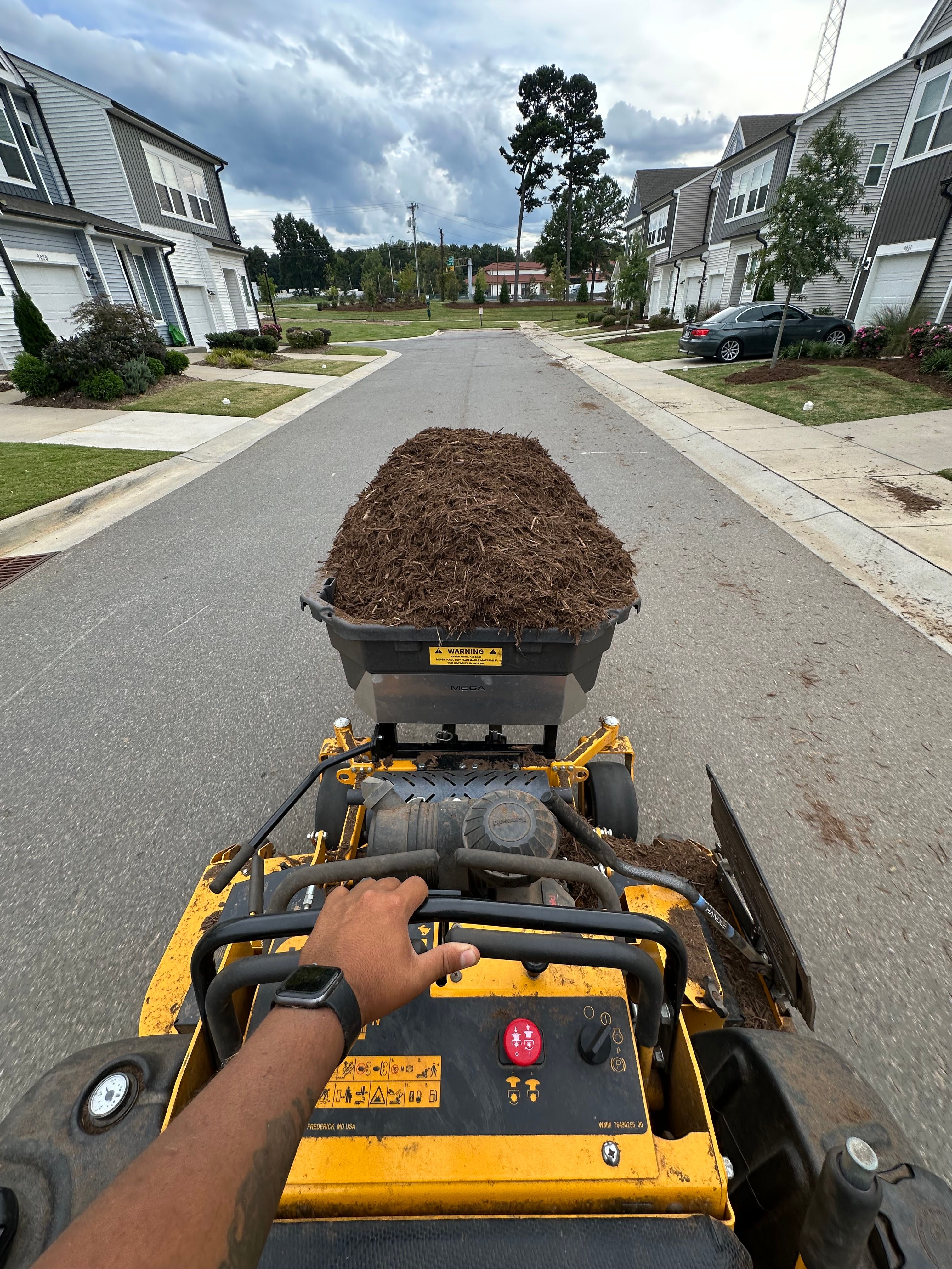  for Pecina Pine Needles in Monroe, NC