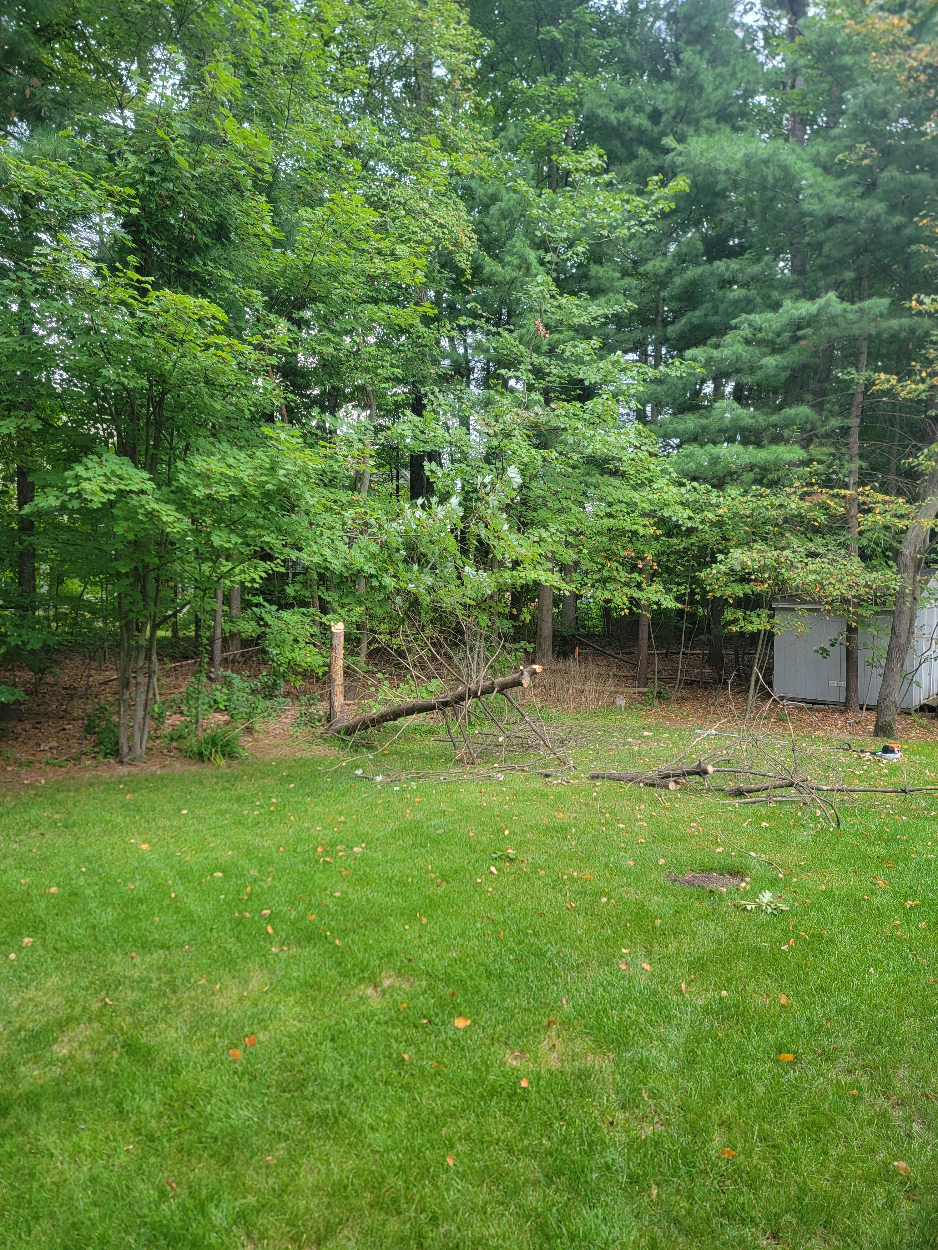  for Sweet Scapes in Ballston Spa, NY